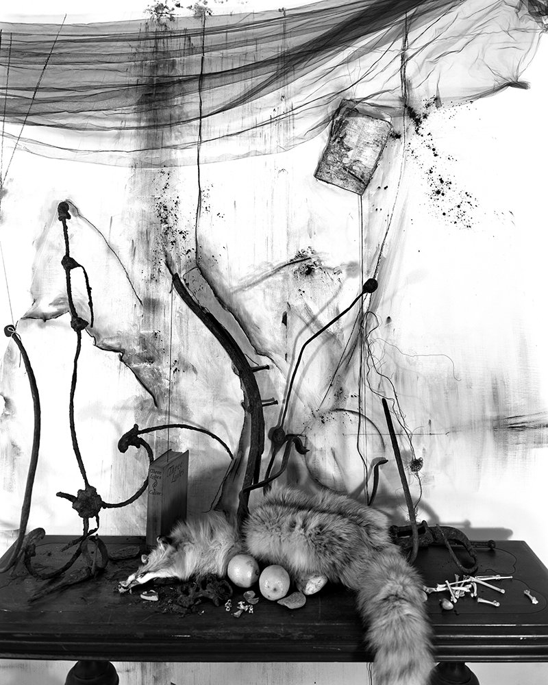 Lauren Semivan Still Life With Fox and Lemons, 2012 Archival ink prints  30 x 24"    Edition of 10 50 x 40"    Edition of 5