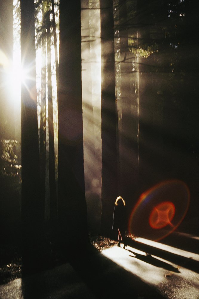 The Family Acid The Redwood Alien, December 1973 Archival pigment ink prints 24 x 20"    Edition of 8