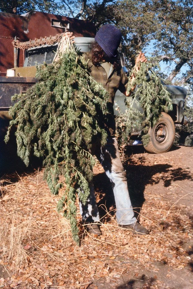 Frank_Mokelumne Hill_Calaveras County_CA_1978