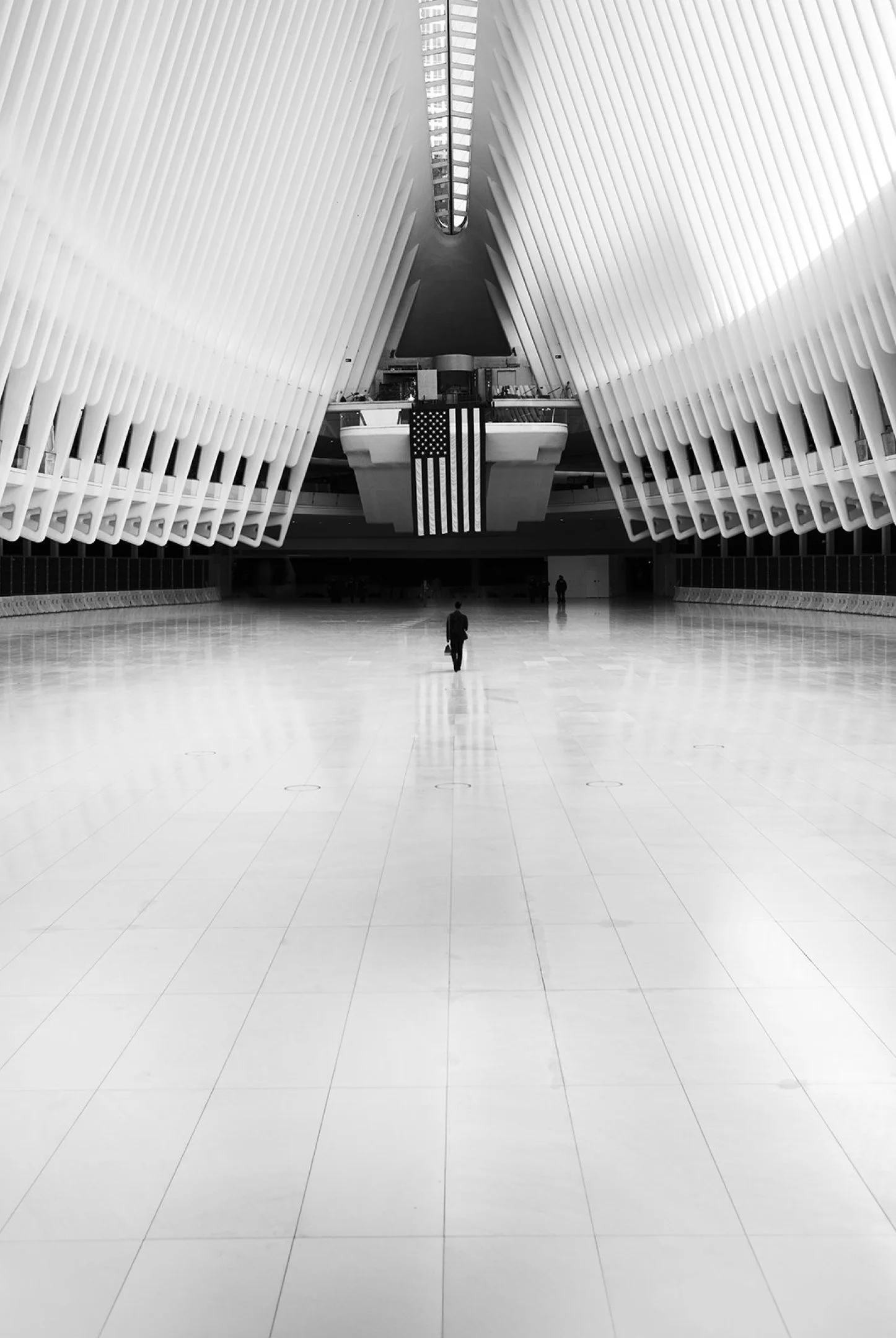Brandon Ralph, FIDI, New York, 2016