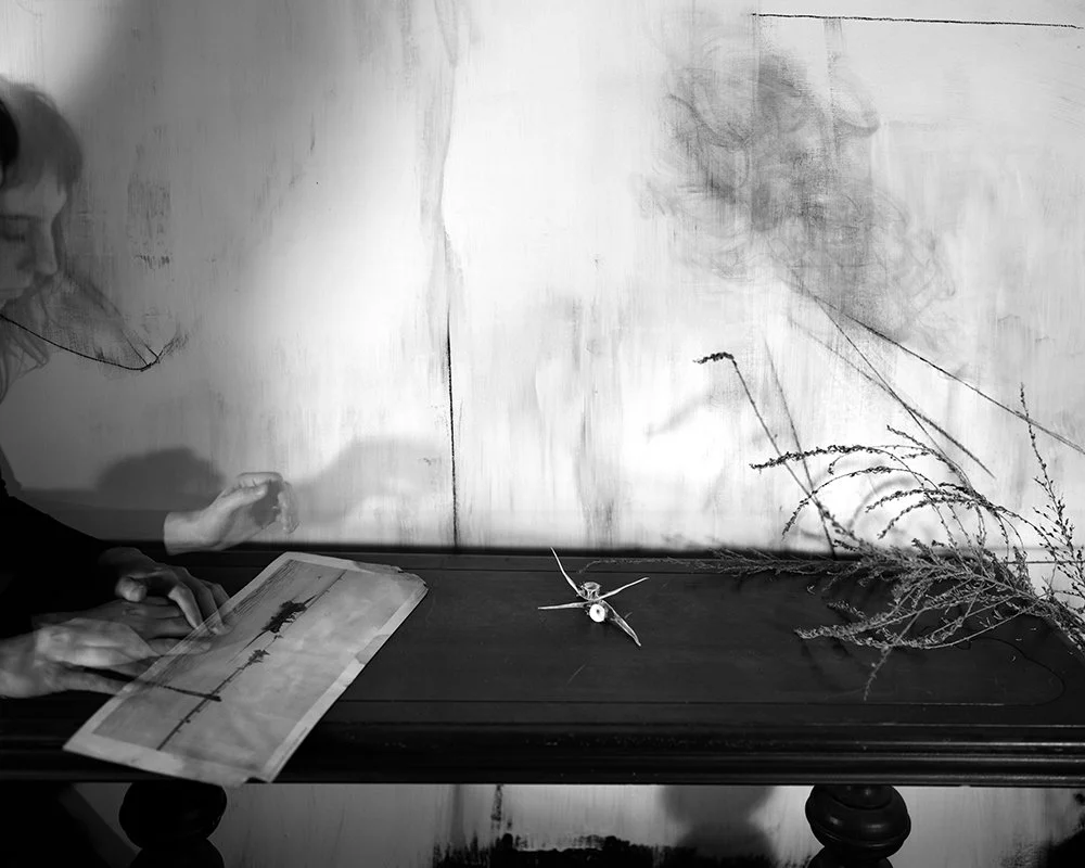 Lauren Semivan Sentinel, 2012 Archival ink prints 24 x 30"    Edition of 10 40 x 50"    Edition of 5