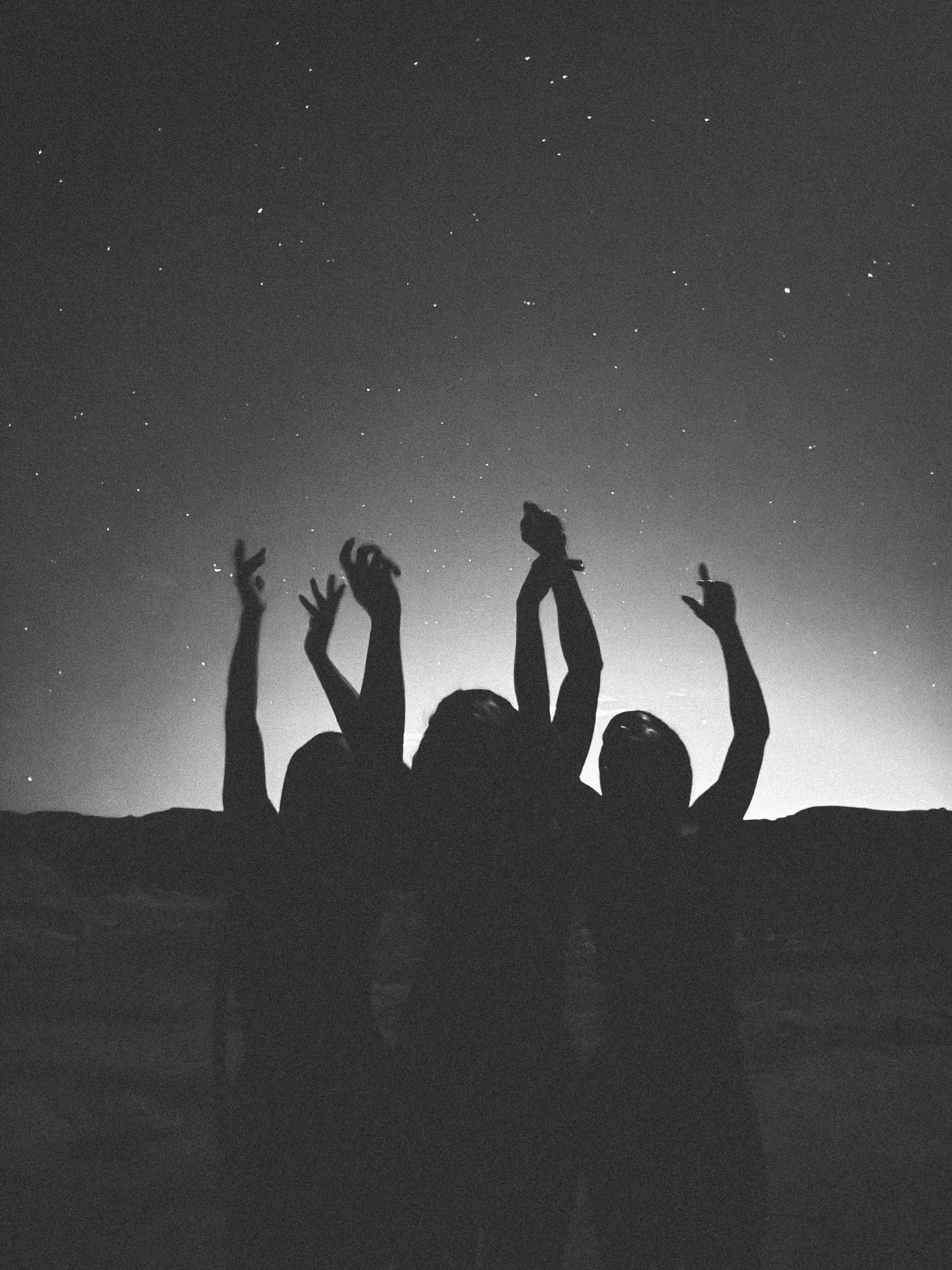 Stella de Mont, Glory, 2024