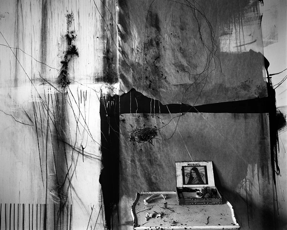 Lauren Semivan Muriel, 2012 Archival ink prints 24 x 30"    Edition of 10 40 x 50"    Edition of 5