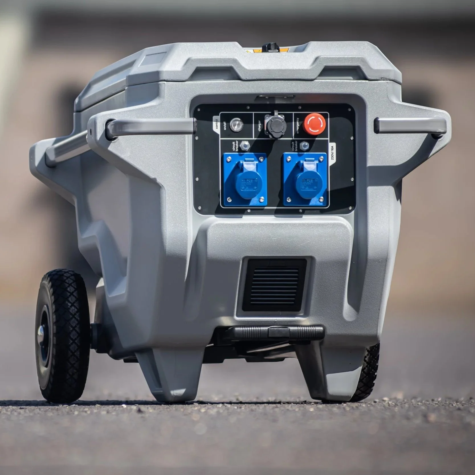 Renset 230V model
