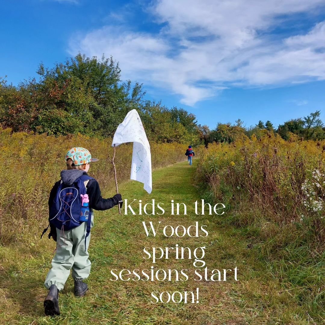 At Kids in the Woods, we believe in the power of nature to support children's well-being both now and in the future. Our evidence-based approach combines the best of occupational therapy with the magic of the great outdoors to help children build soc