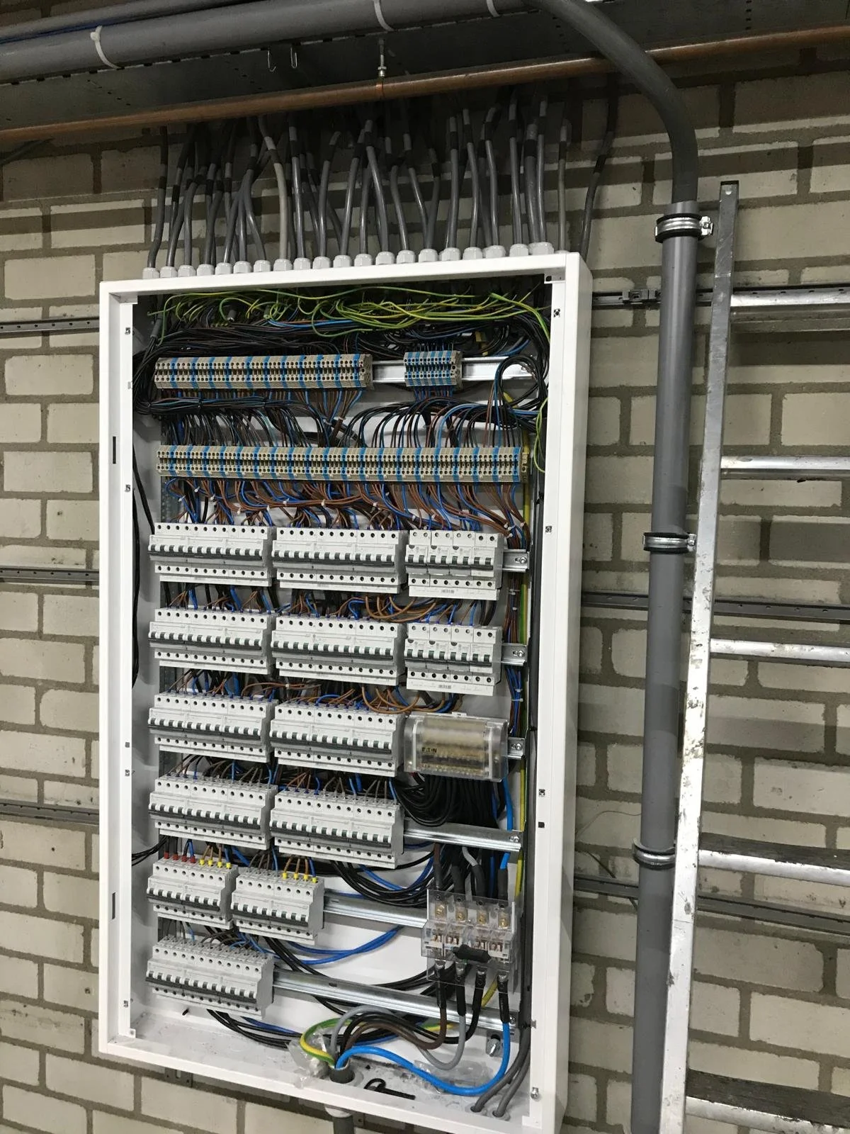 Afbeelding van WhatsApp op 2025-11-28 om 13.32.36_e8c0bc0f.jpg