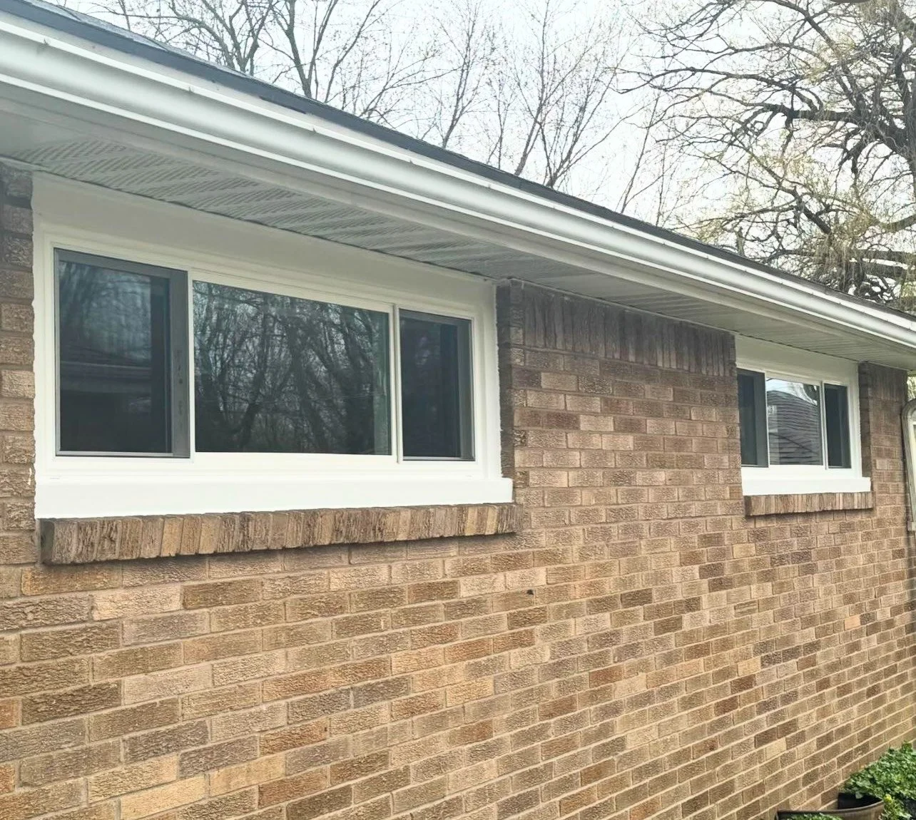 image_123650291 (1).JPG