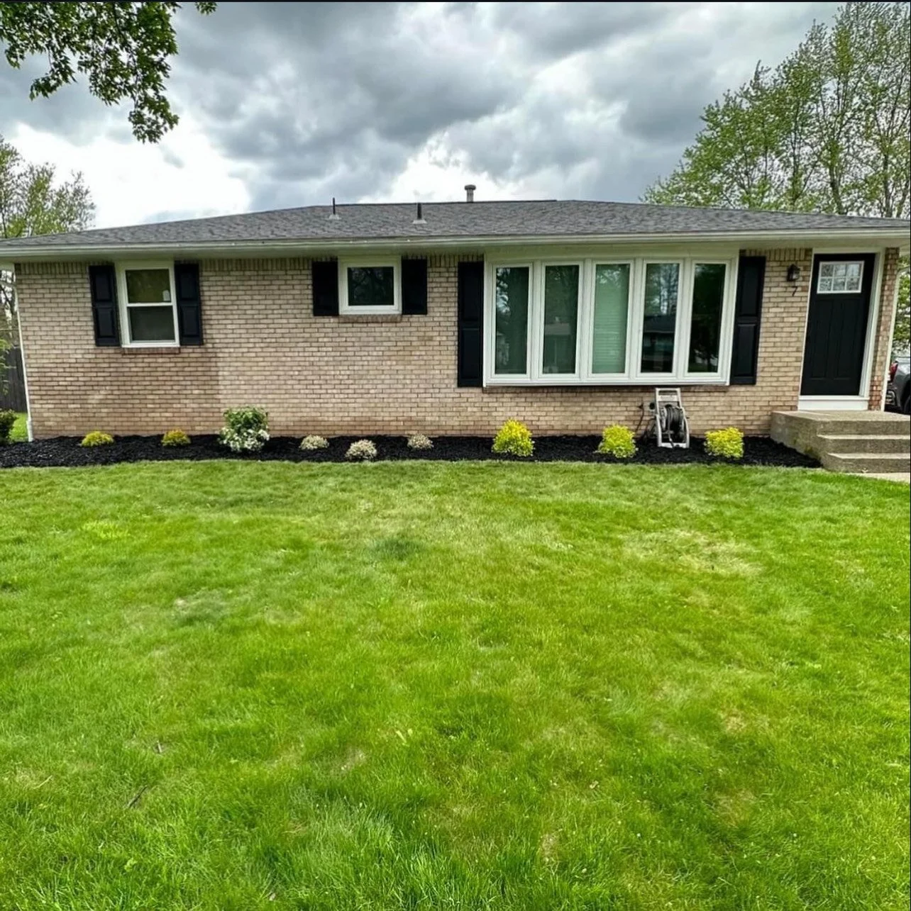 image_123650291 (2).JPG