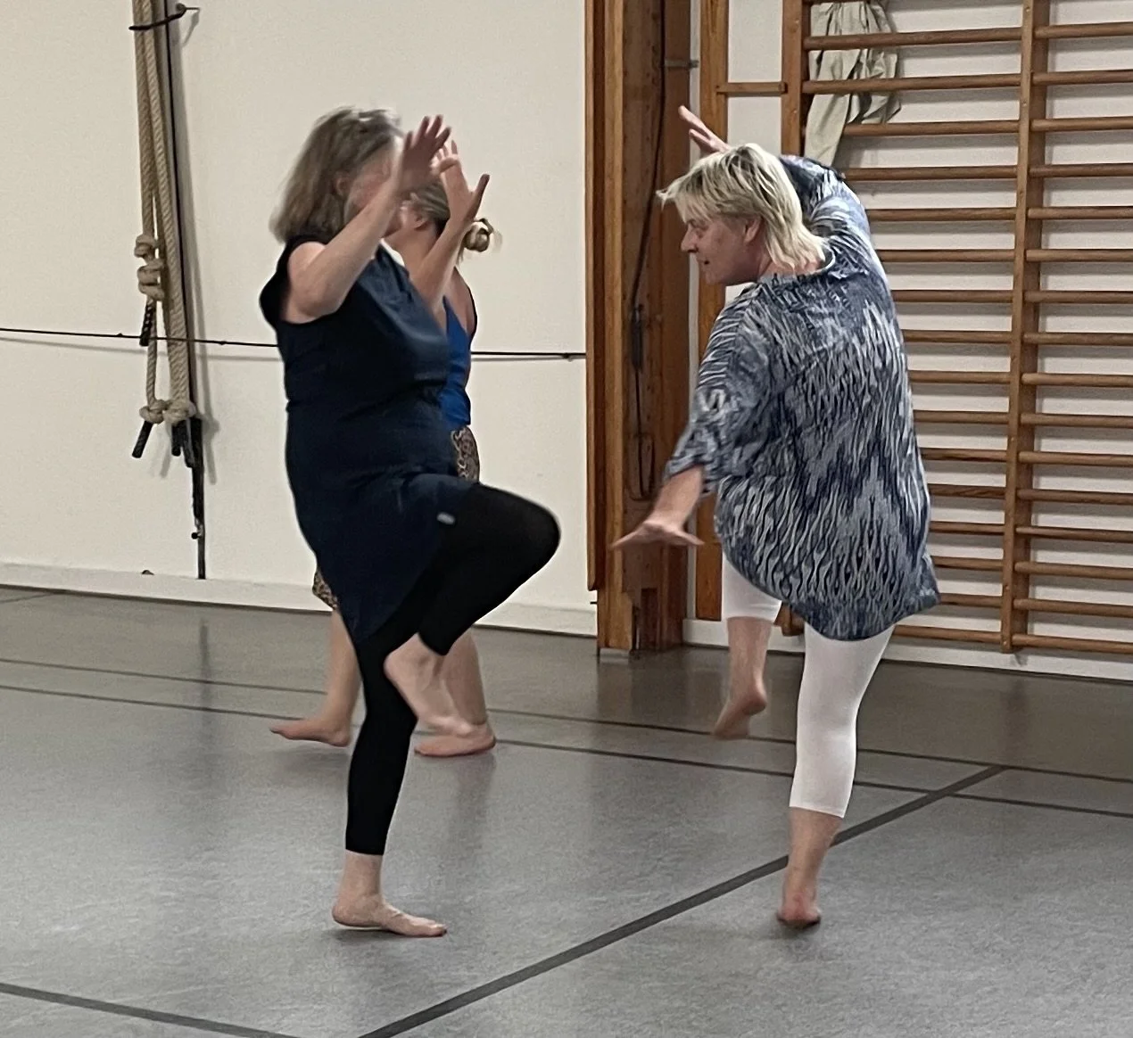 Groove dans glad Odsherred Holbæk