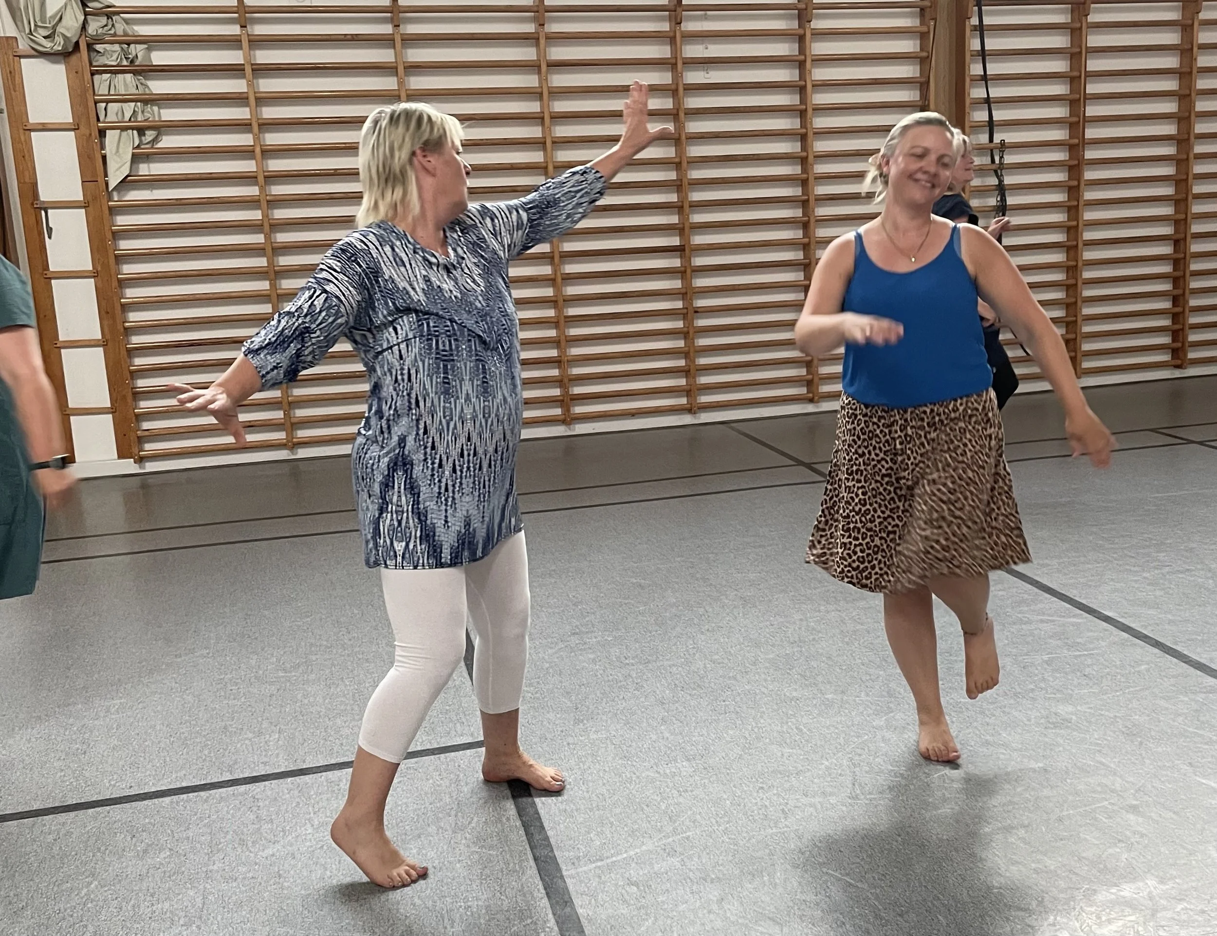 Groove dans Odsherred Holbæk