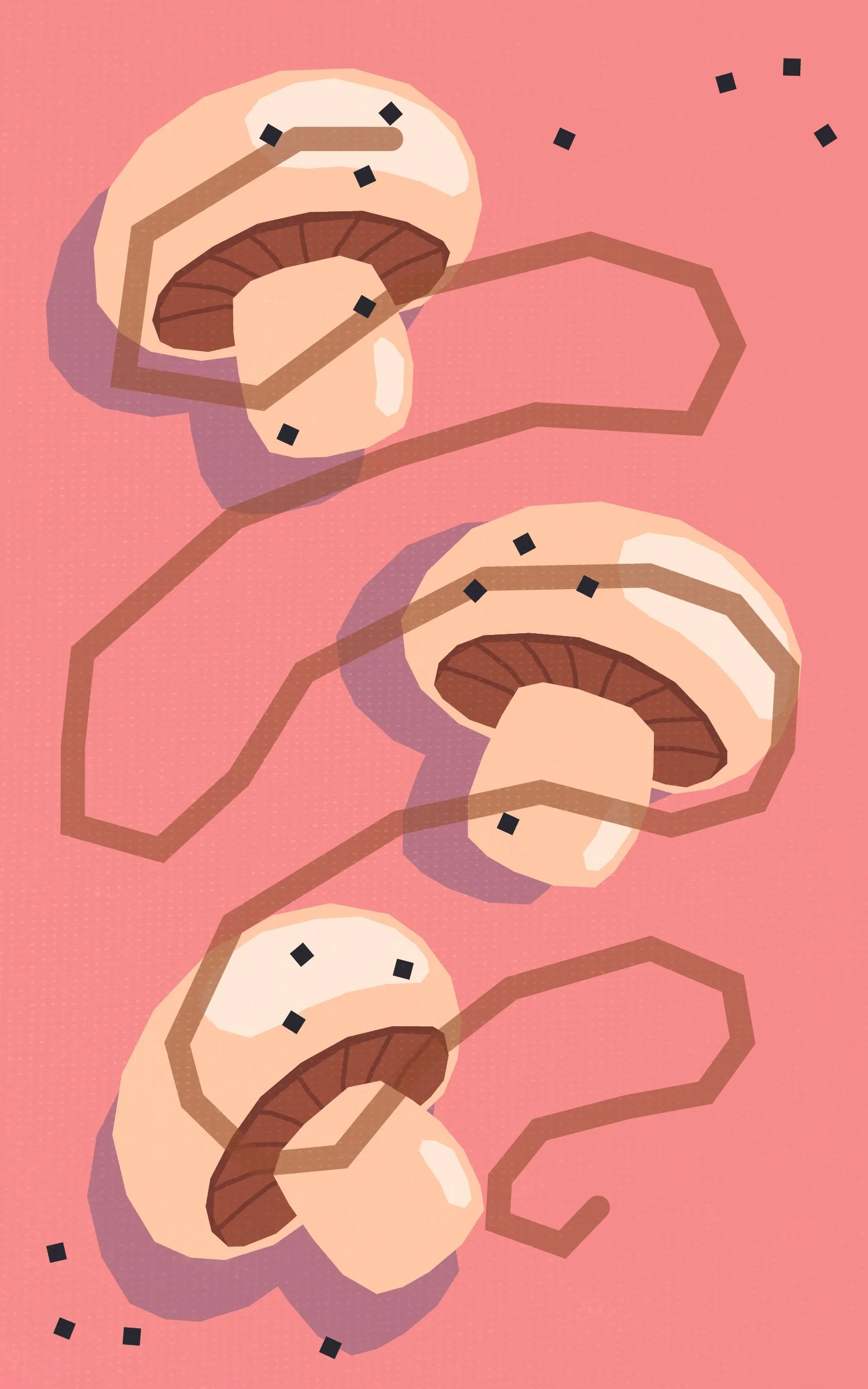 BFA Illustrations 3-04.jpg