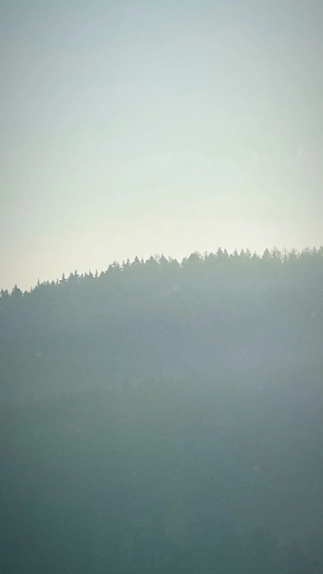 05067255-9254-450E-A88D-F473C3EF9A8A 2.JPG