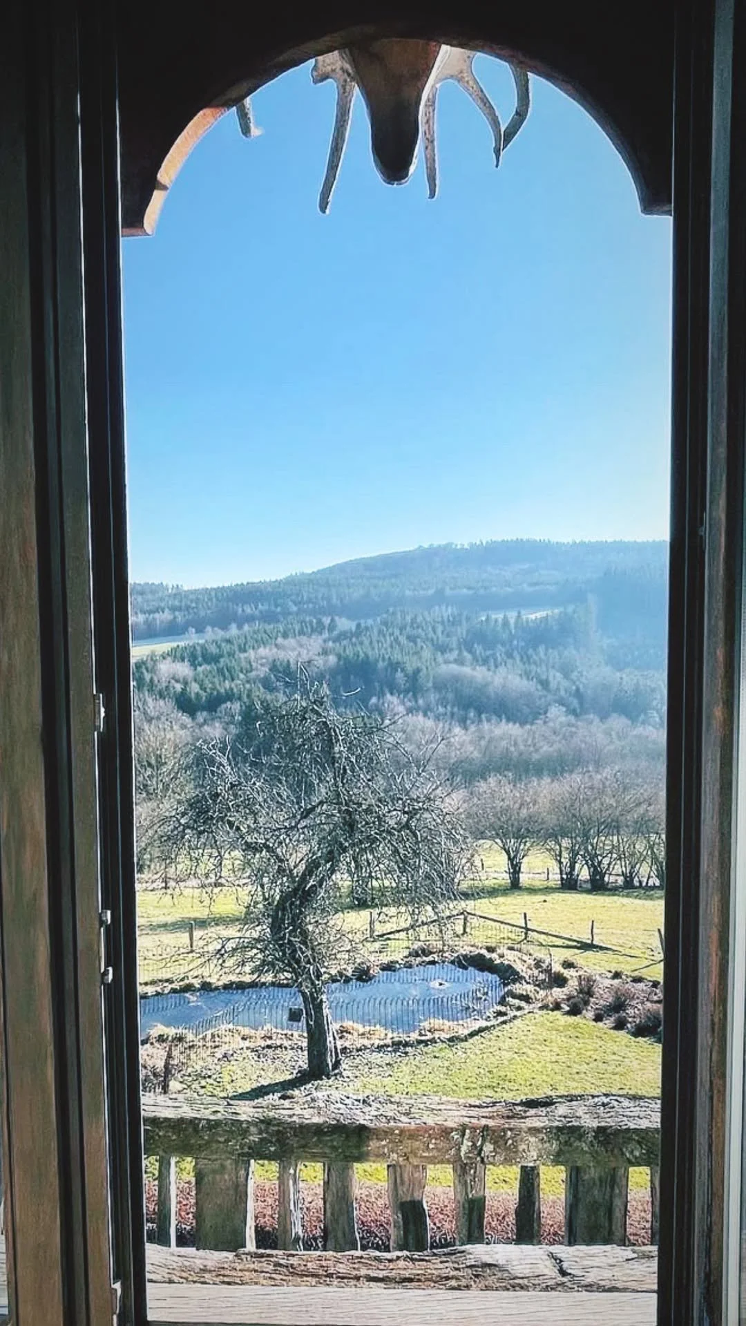 6BB9110C-7739-4D7C-B7BD-95F9E73611D5 2.JPG