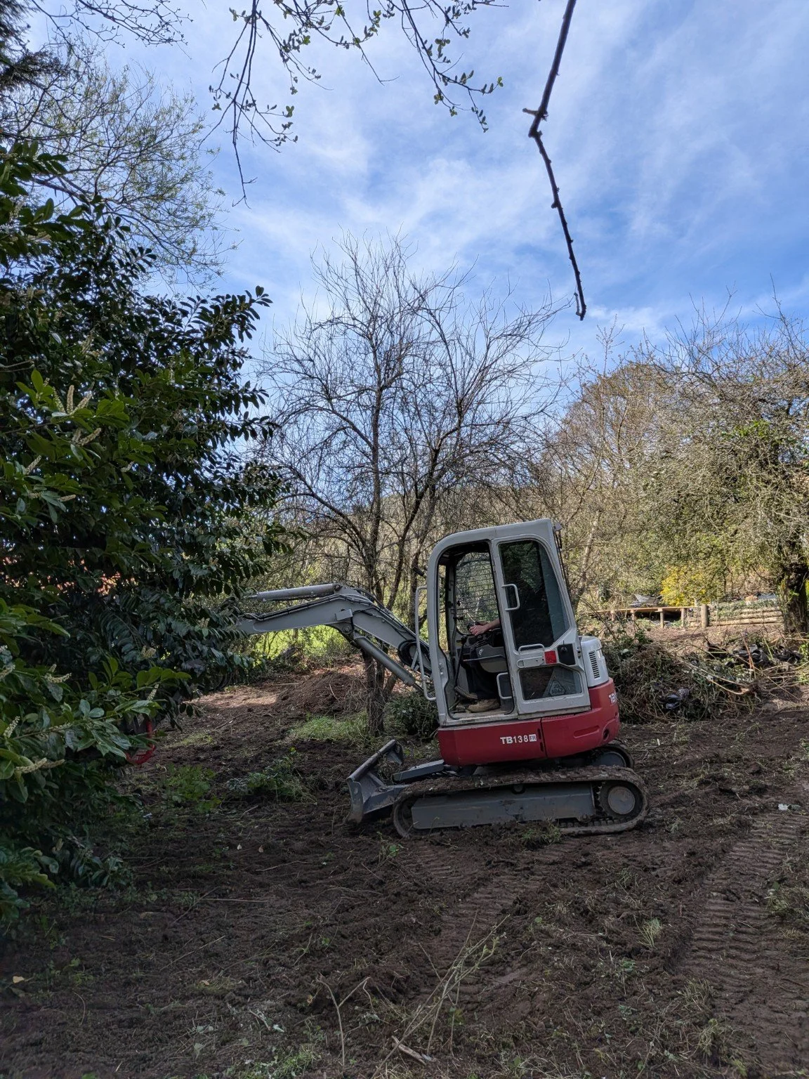 Valley Groundwork excavator on cleared ground between trees in Risca