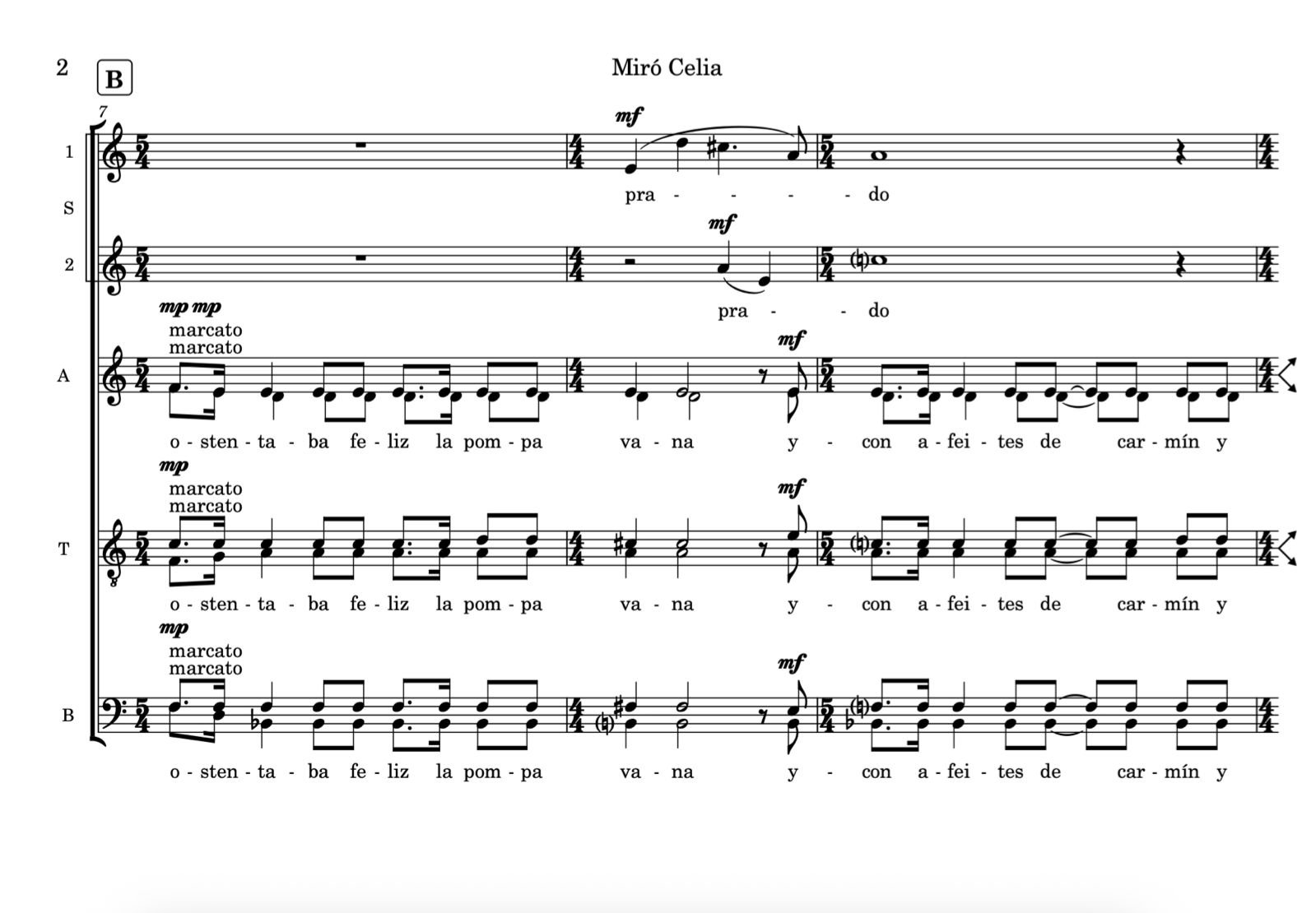 WhatsApp Image 2025-11-17 at 13.10.09.jpeg