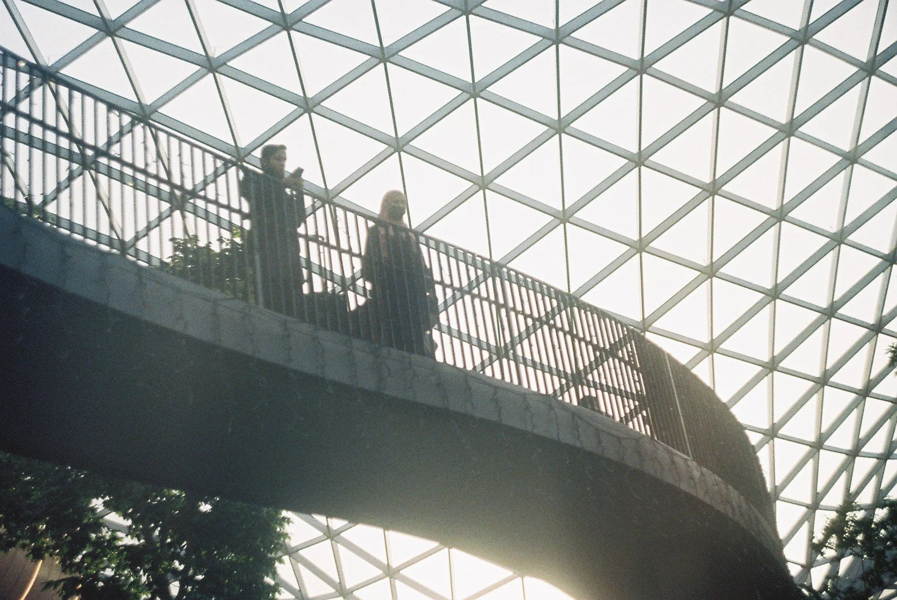 FH010005.JPG