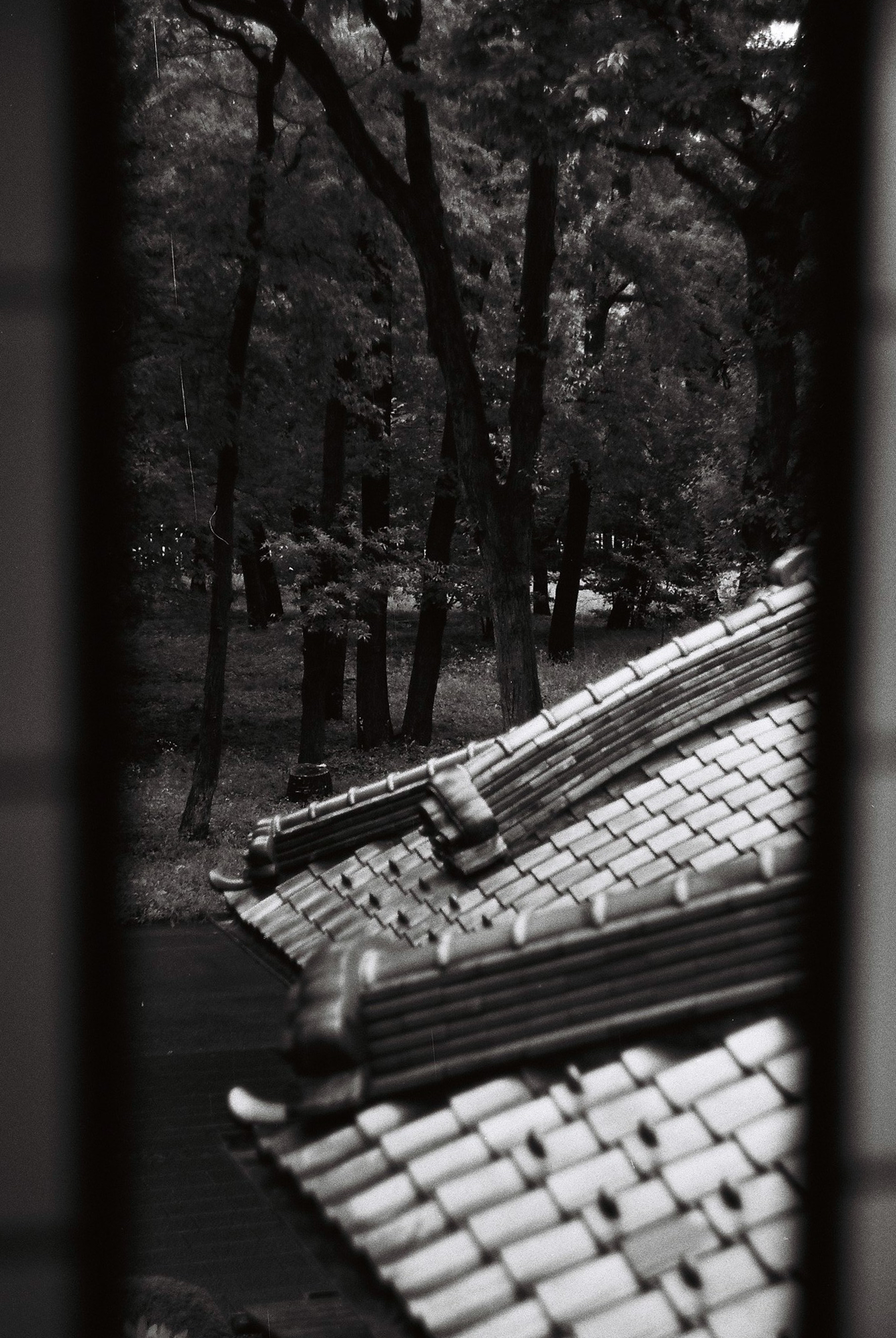001-025.png
