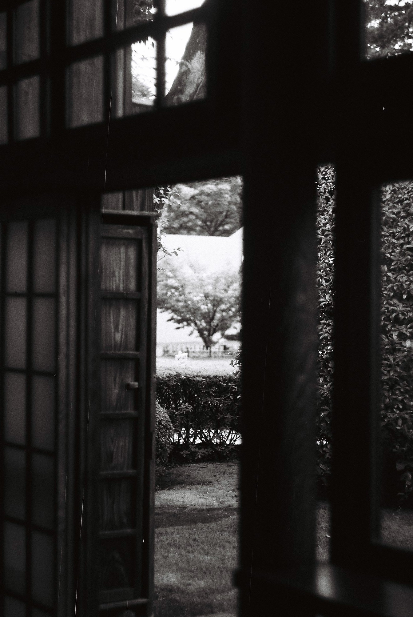 001-035 copy.png