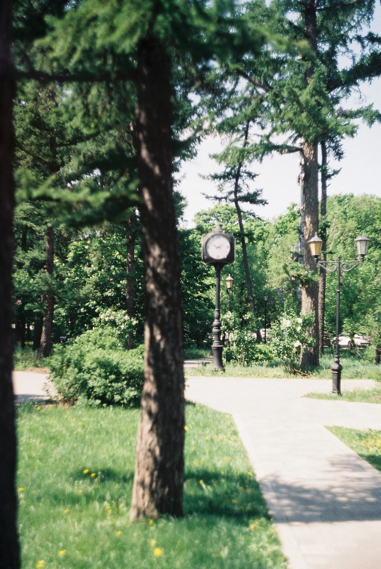 FH010021.JPG