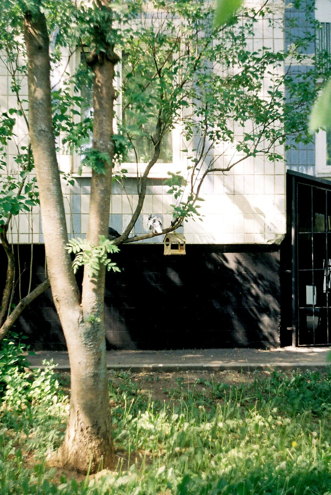 FH000026 copy.jpg
