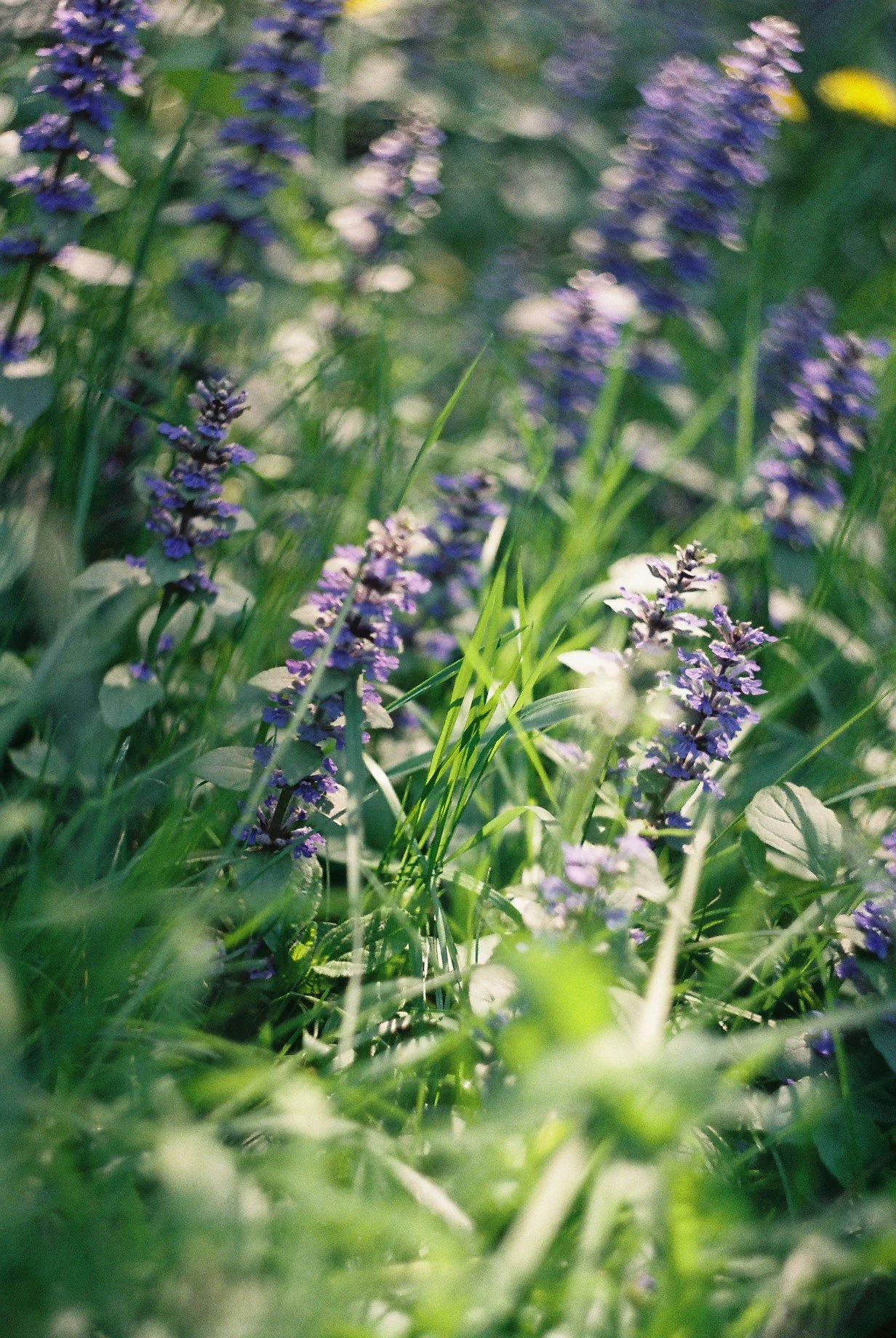 FH010022.JPG