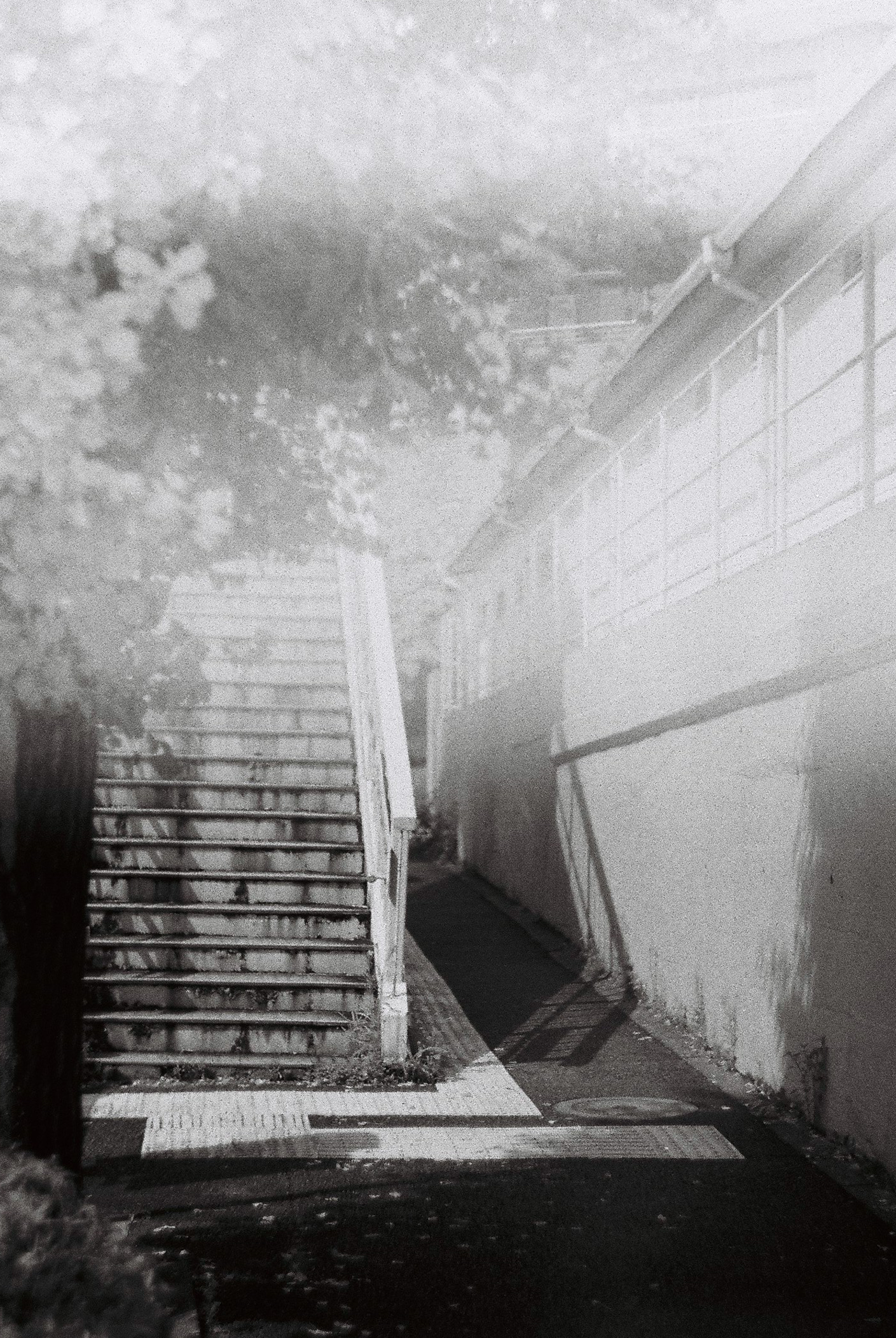 001-009.png