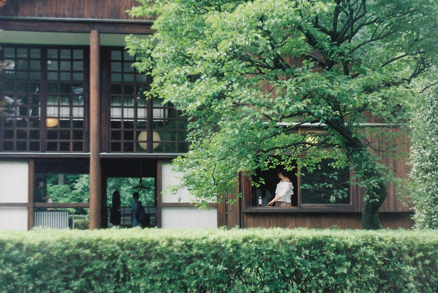 A building with large grid windows surrounded by green trees and shrubs, with two people visible inside through the windows.