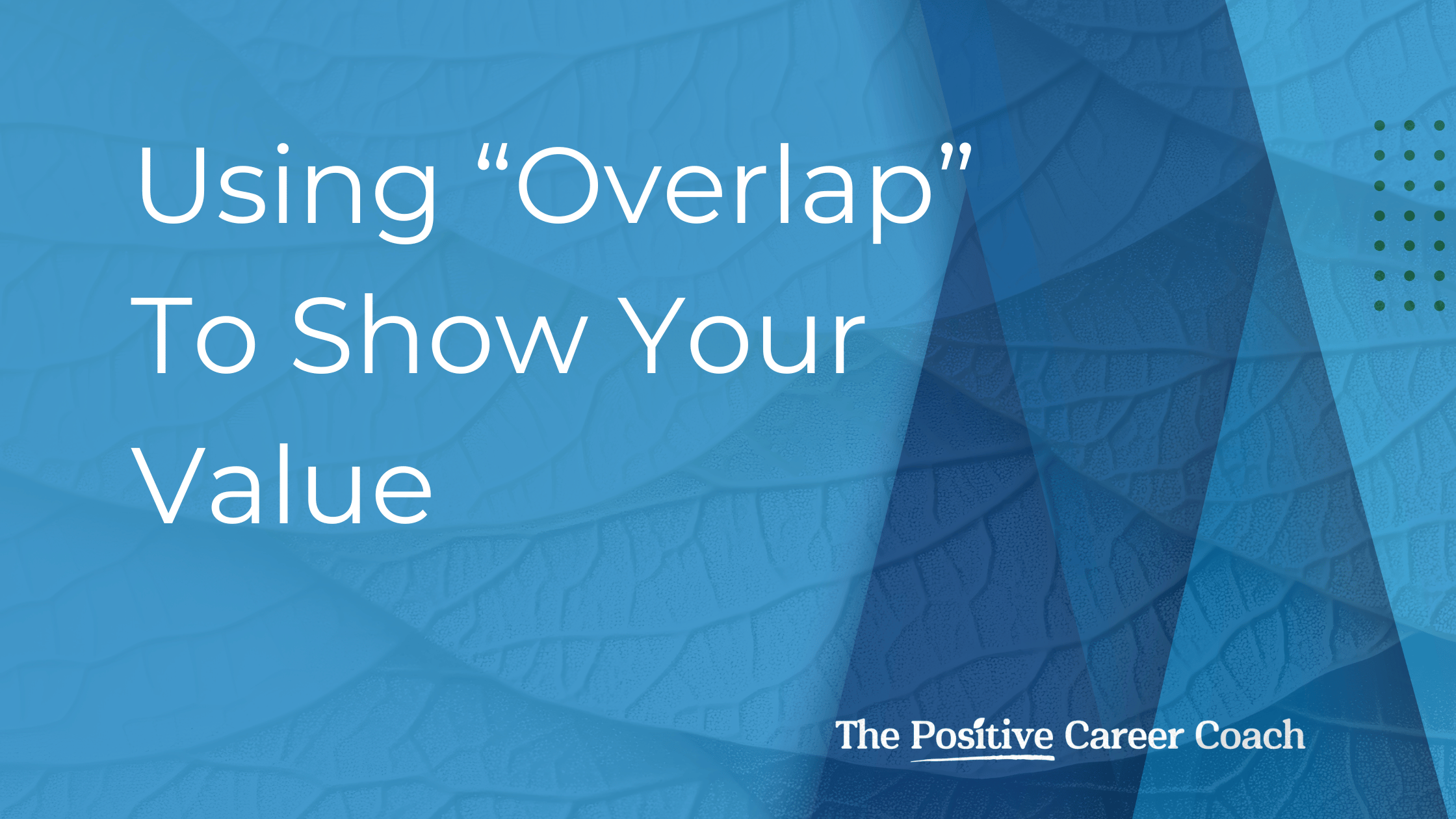 Image with the text using overlap to accelerate your climate career