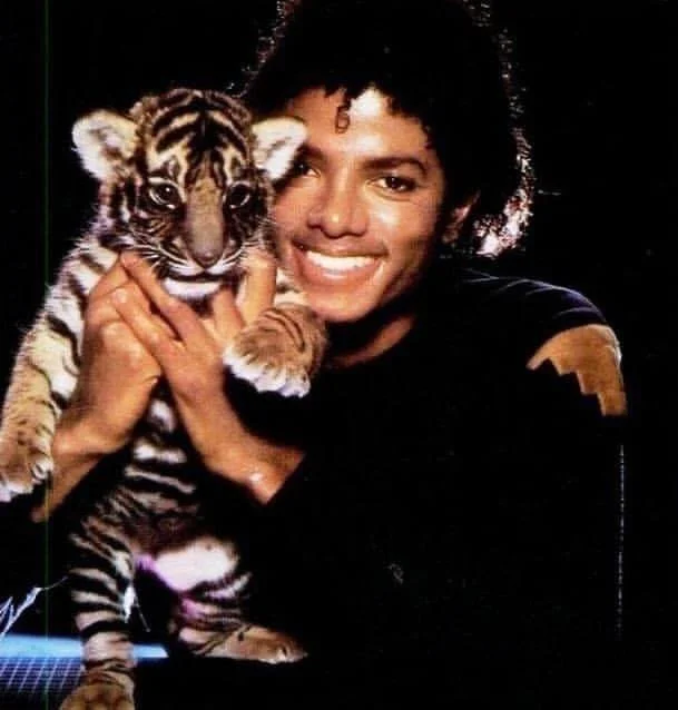 Michael Jackson Smiling 22.JPG