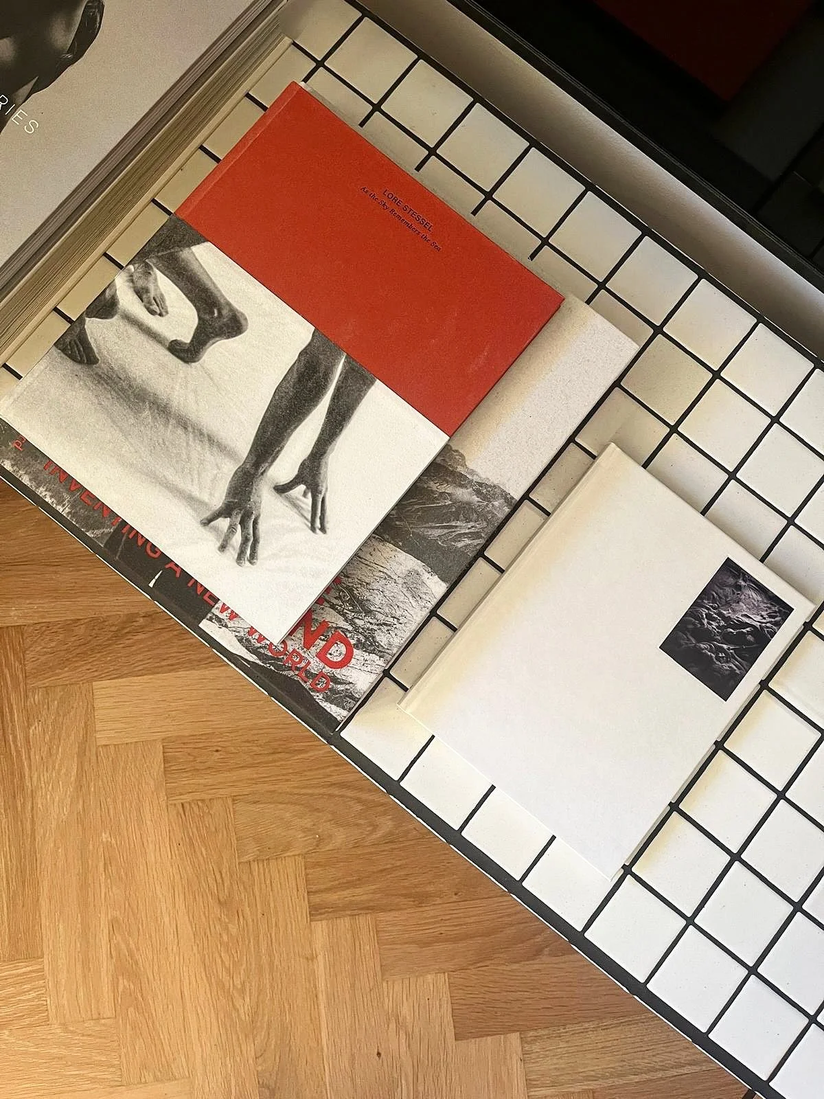 Side table made by me🛠️
Books by @lindazhengova @lorestessel @neeltje_devries 📚

#interior #sidetable #artbooks #interieurstyling #interieuramsterdam