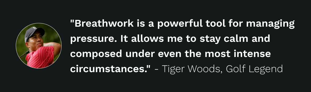 tiger wood .png