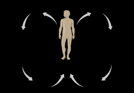 Homeostasis vs. Allostasis: Why Your Body Needs More Than Stability