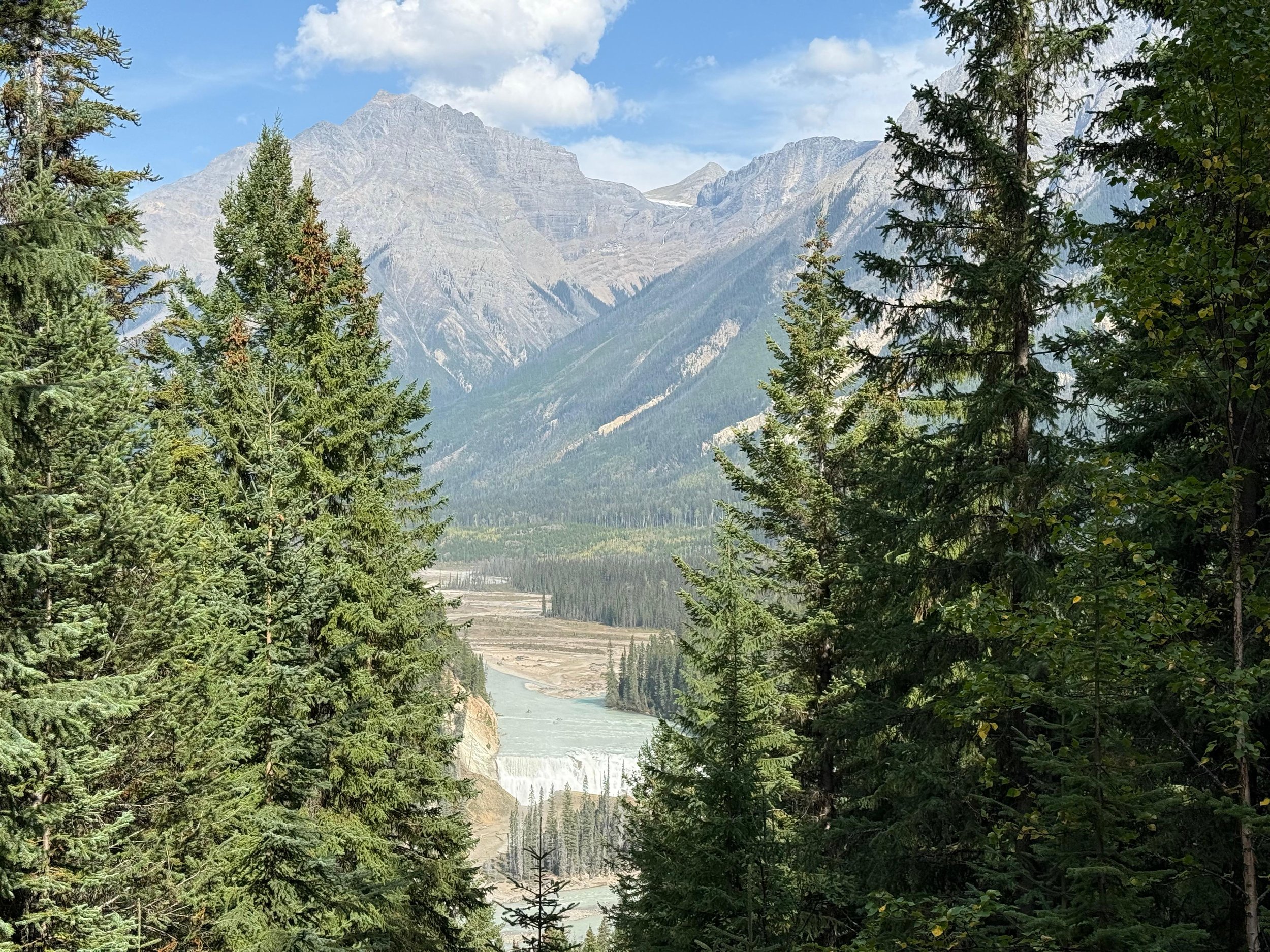 WhatsApp Image 2025-12-08 at 14.24.57 (1).jpeg