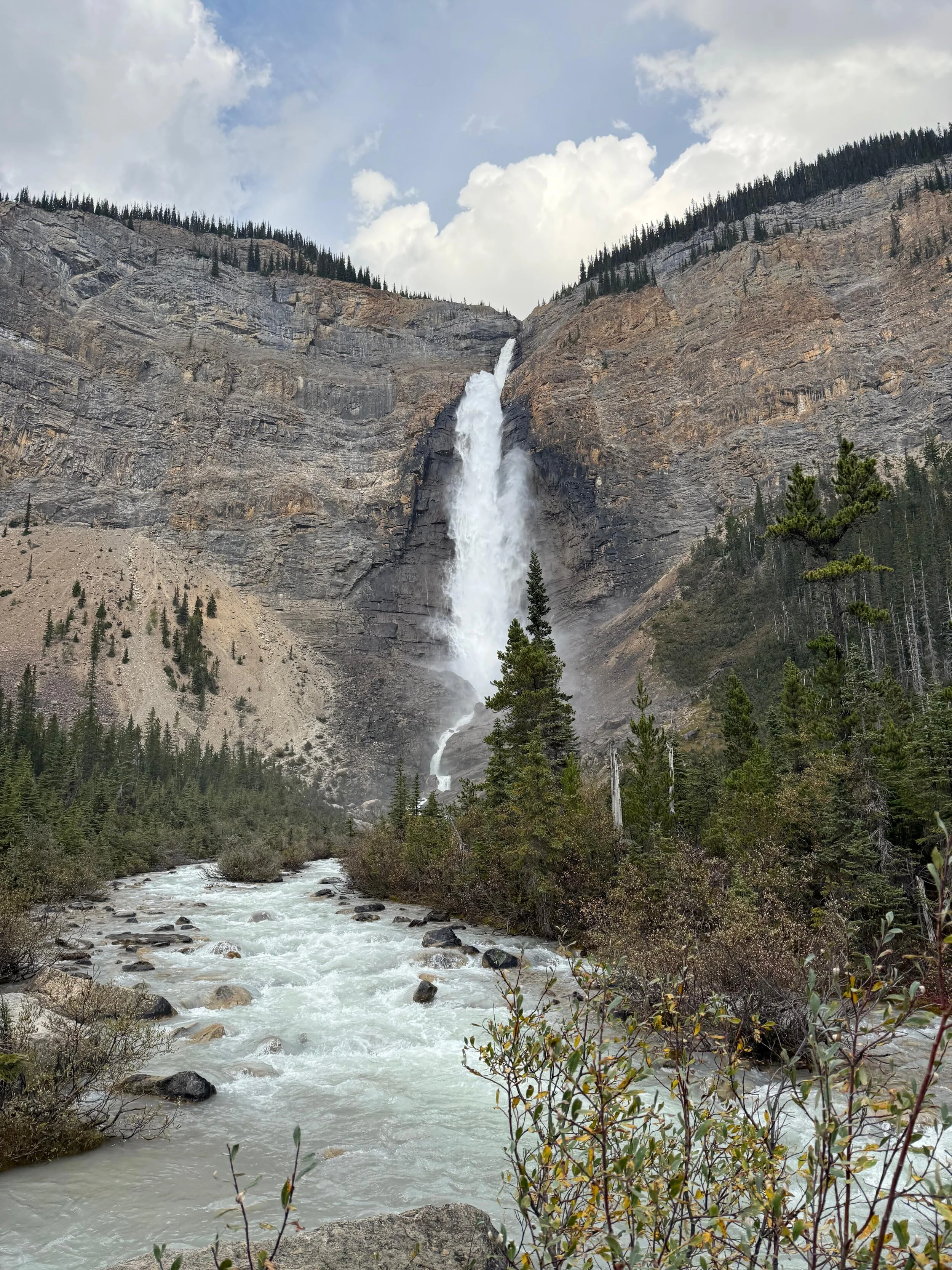 WhatsApp Image 2025-12-08 at 15.00.19 (1).jpeg