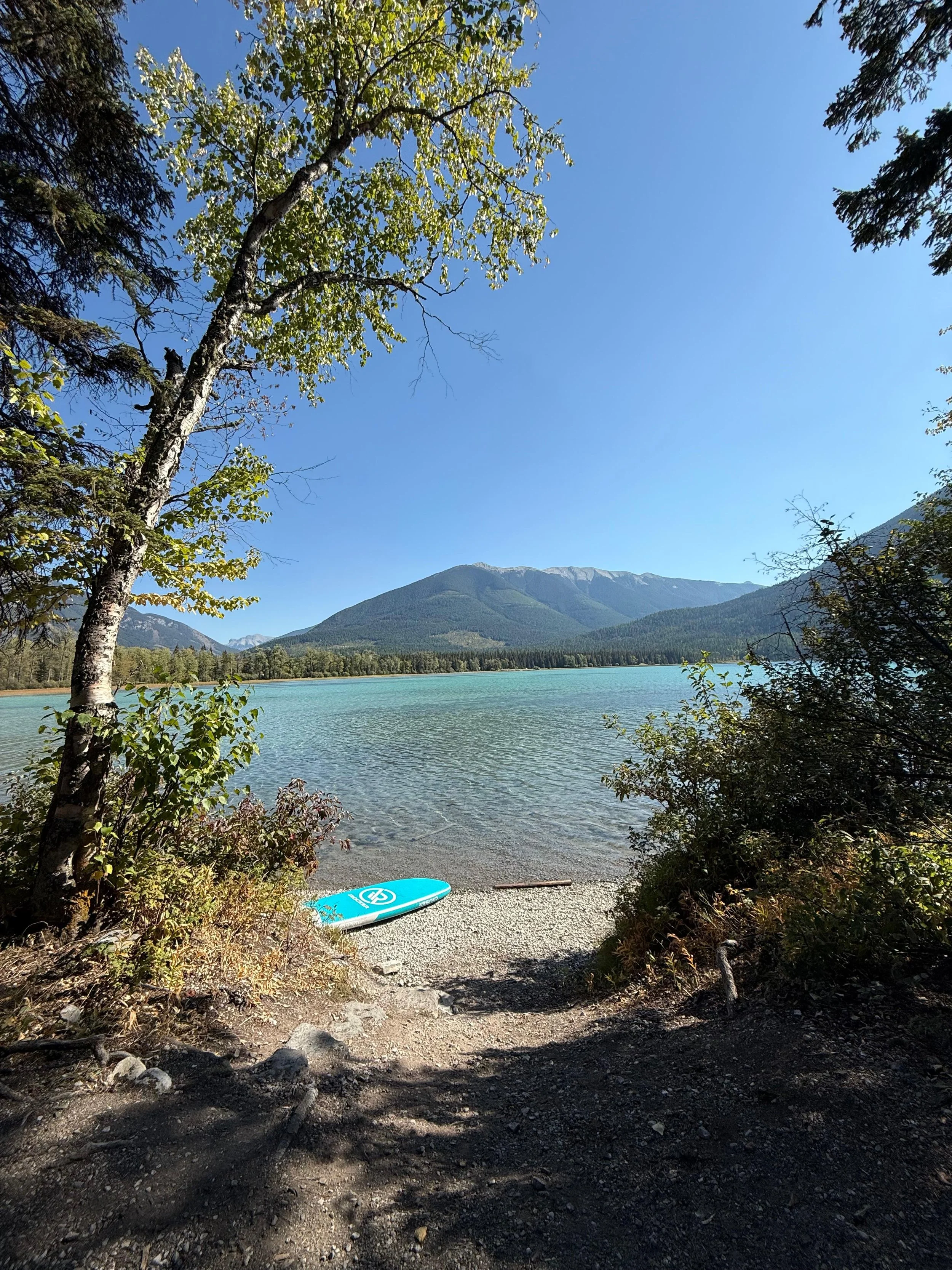 WhatsApp Image 2025-12-08 at 15.00.20.jpeg