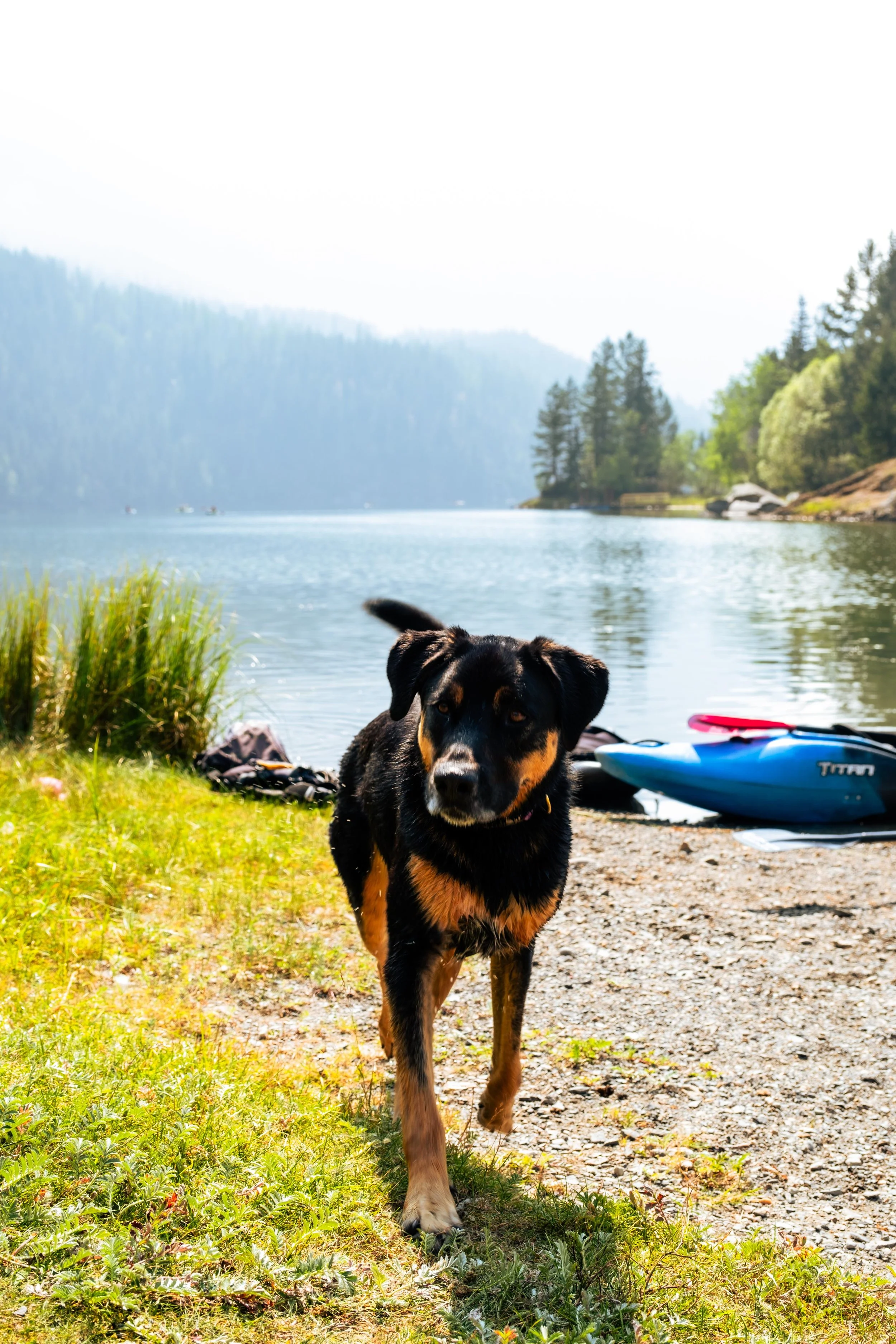 WhatsApp Image 2025-12-08 at 14.24.47.jpeg