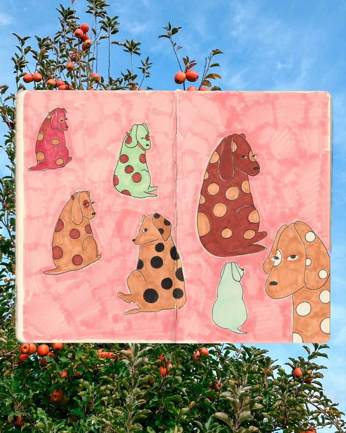 Day 24: SPOTS 🐕
Dedicated to our dogs, who keep us humble with their piercing looks. I wish they understood how thankful I am for them. They moved across the country with us and haven’t complained once! 
Last video is of Melvin’s campi