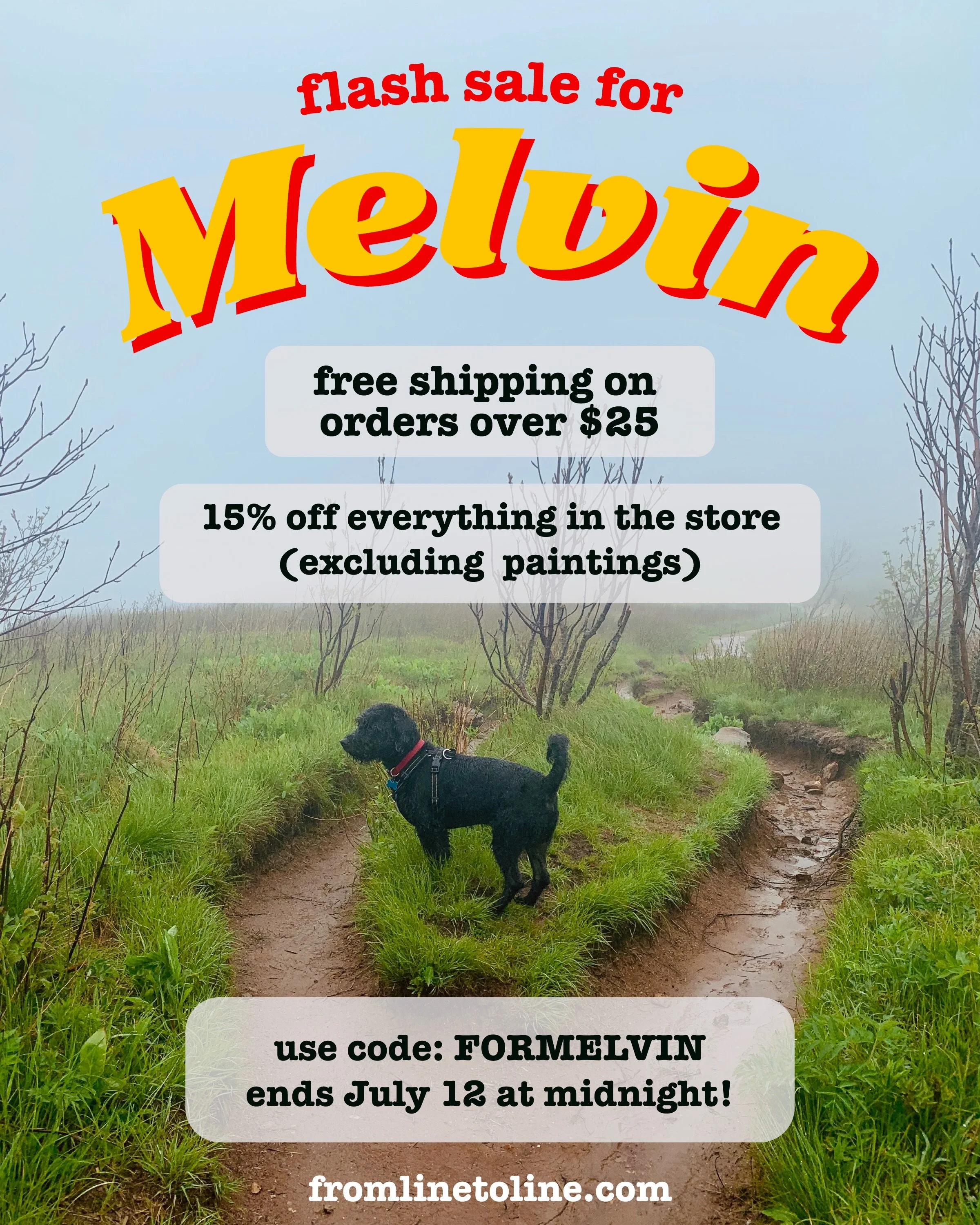 Flash sale for Melvin! If you&rsquo;ve been following along on my stories, you may know my boy Melvin has been having a really rough time lately. We&rsquo;ve been making adjustments to our home and schedule to make sure he&rsquo;s as comfy as possibl