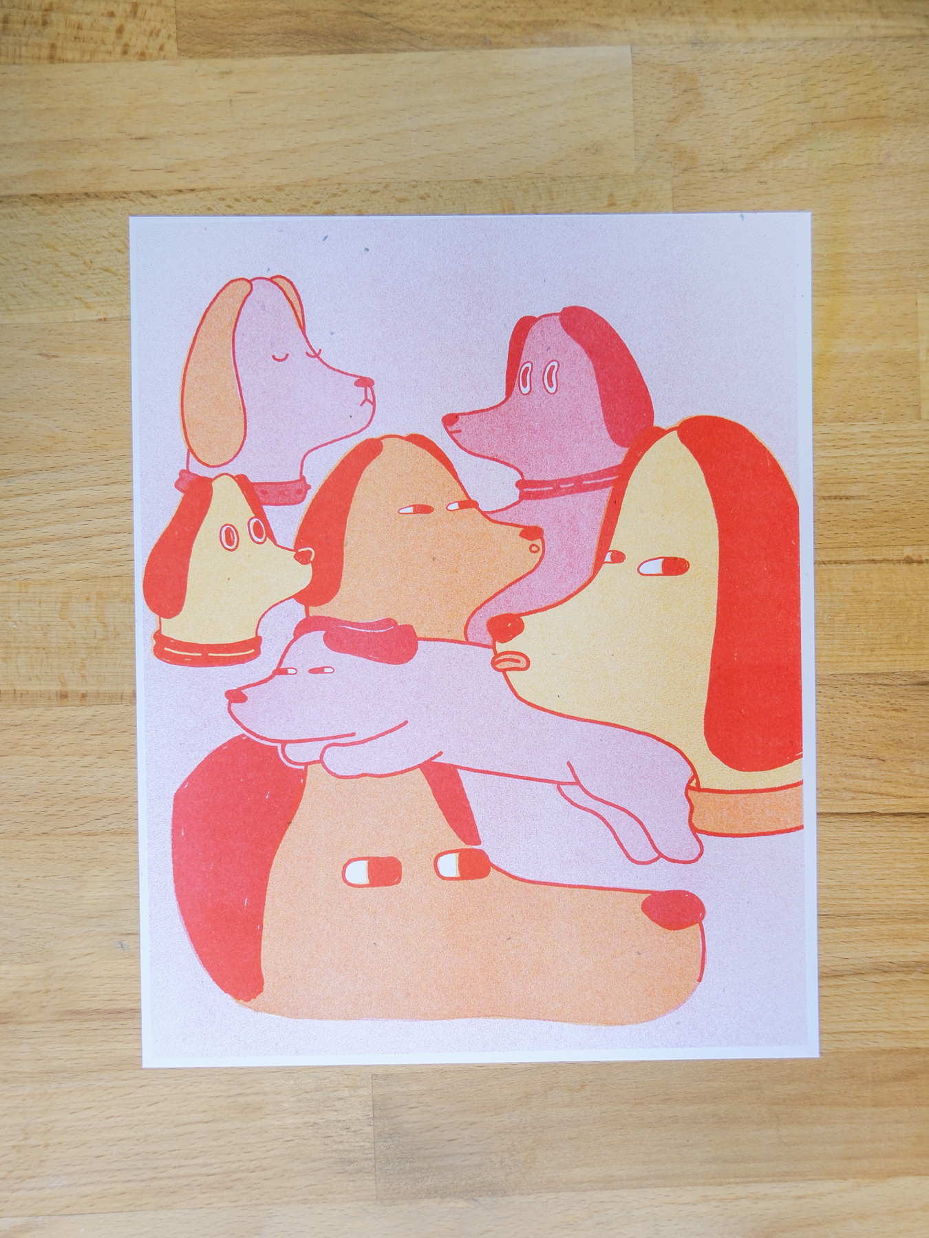 riso-1.png