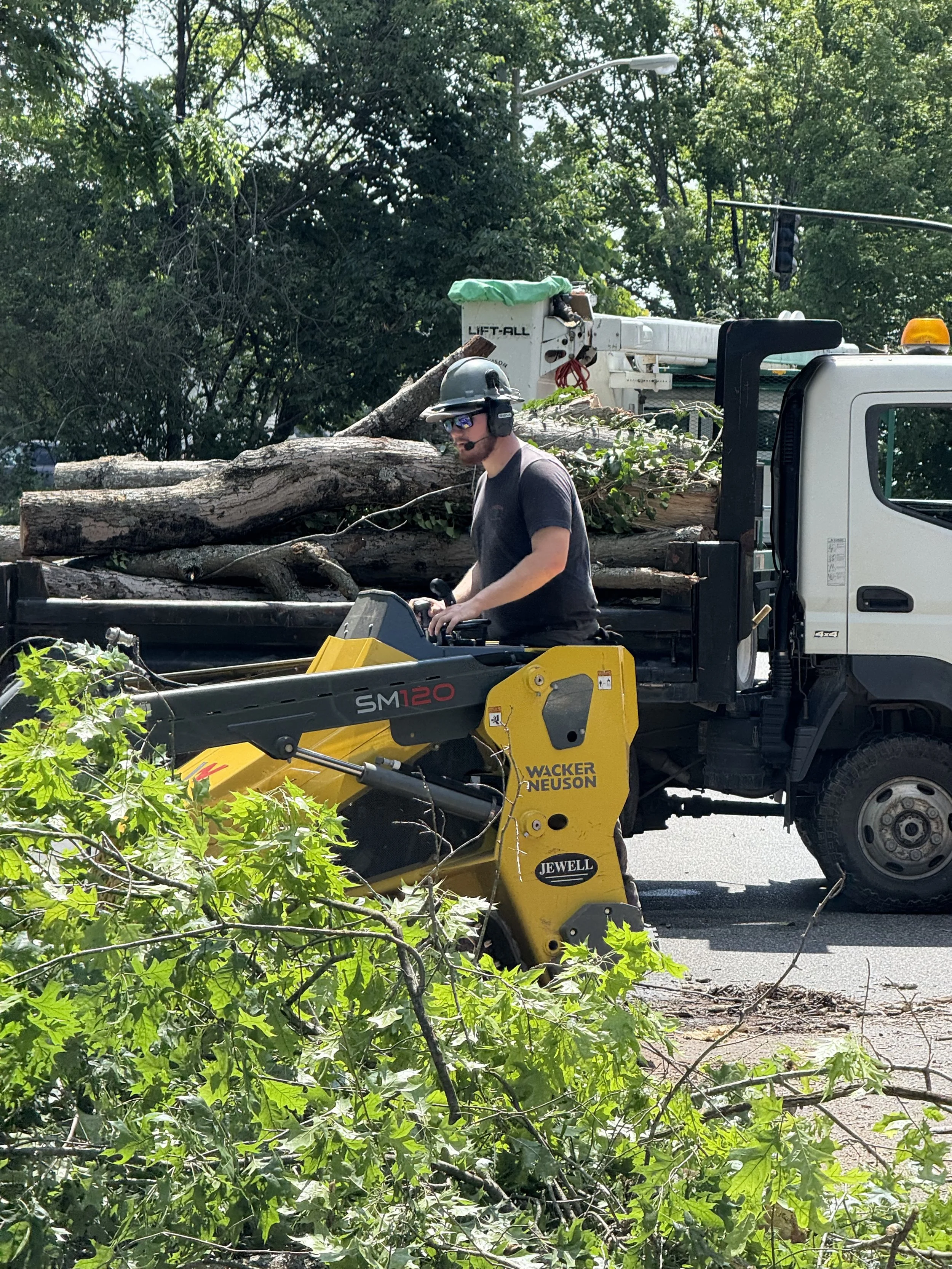 Orrison Tree Service based in Lexington, Virginia.