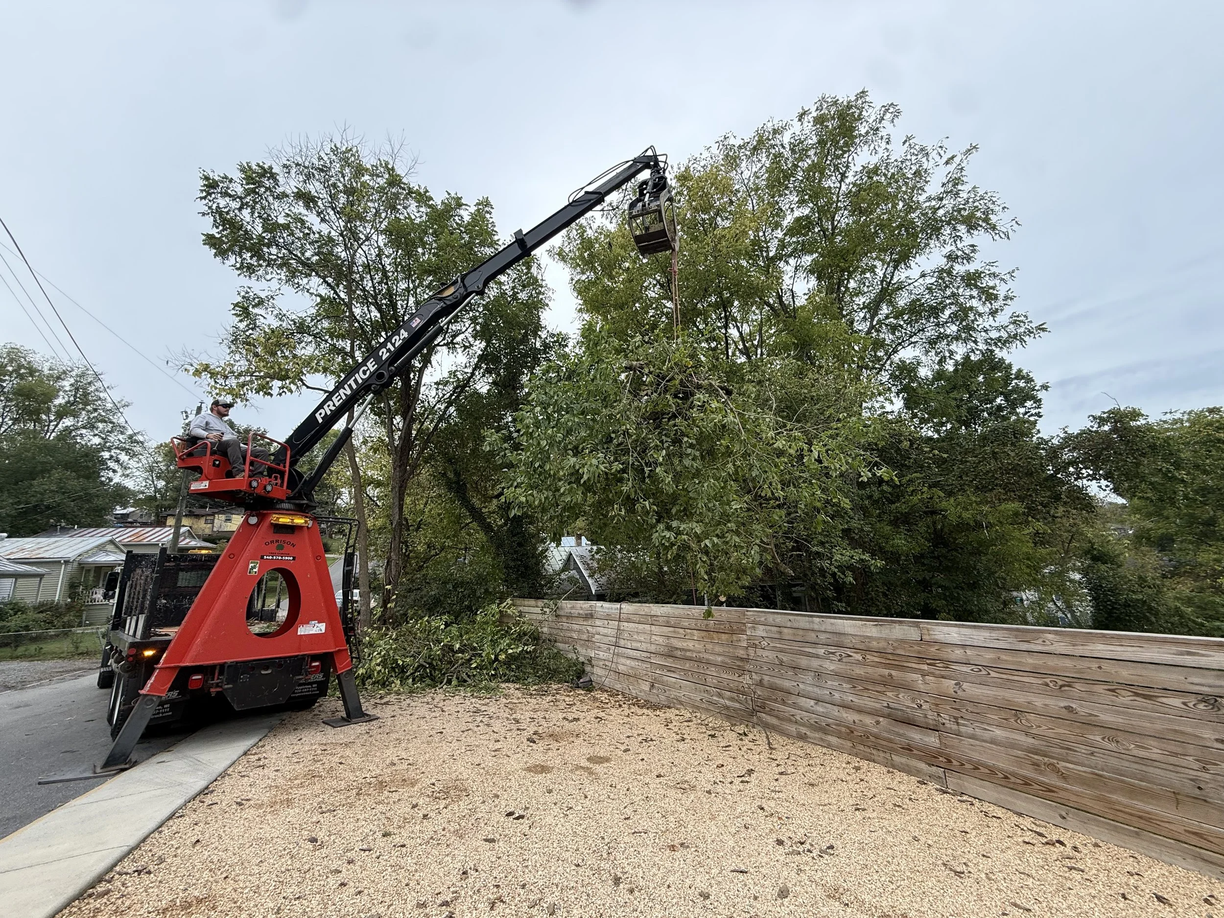 Orrison Tree Service based in Lexington, Virginia.