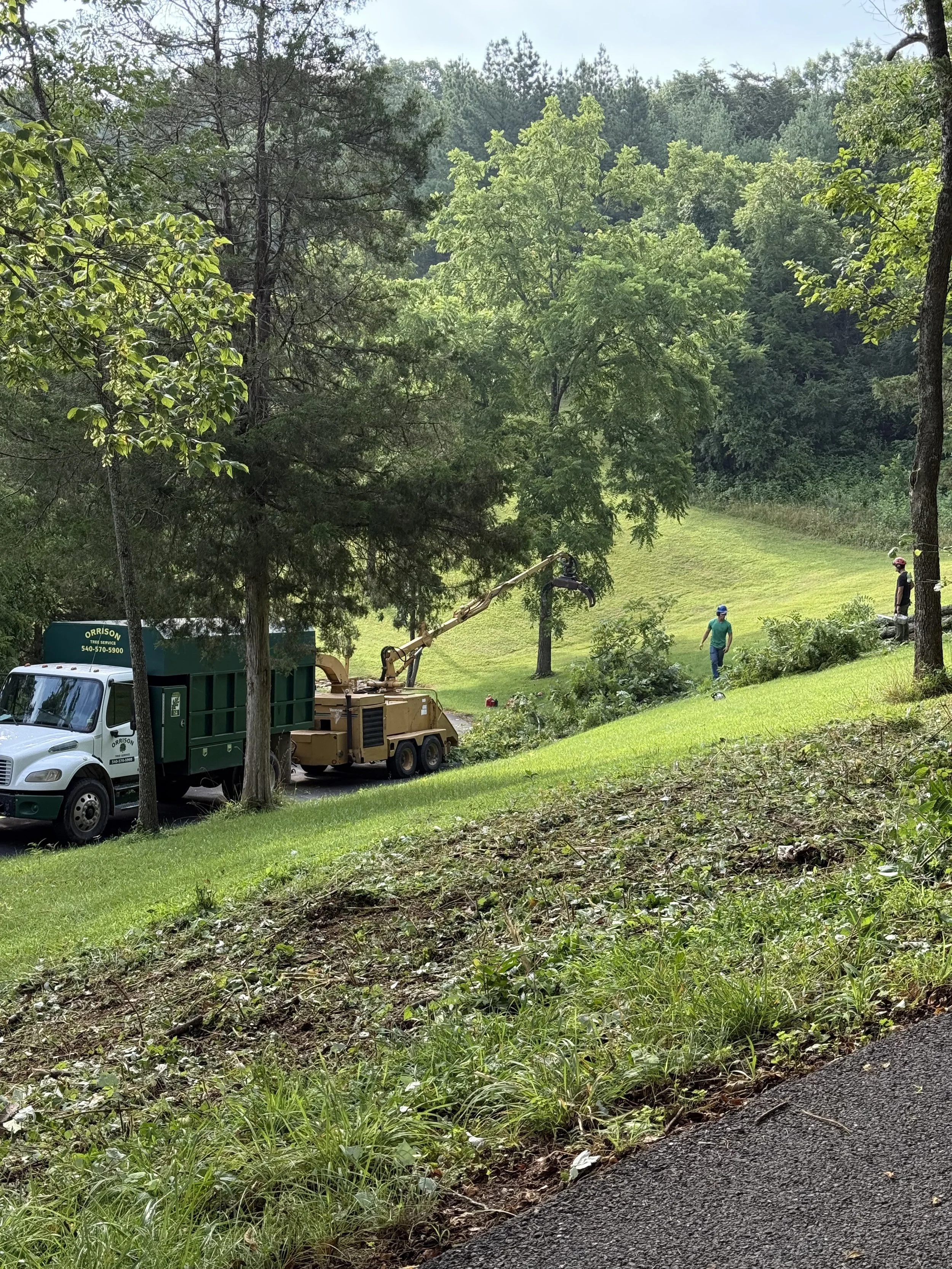 Orrison Tree Service based in Lexington, Virginia.