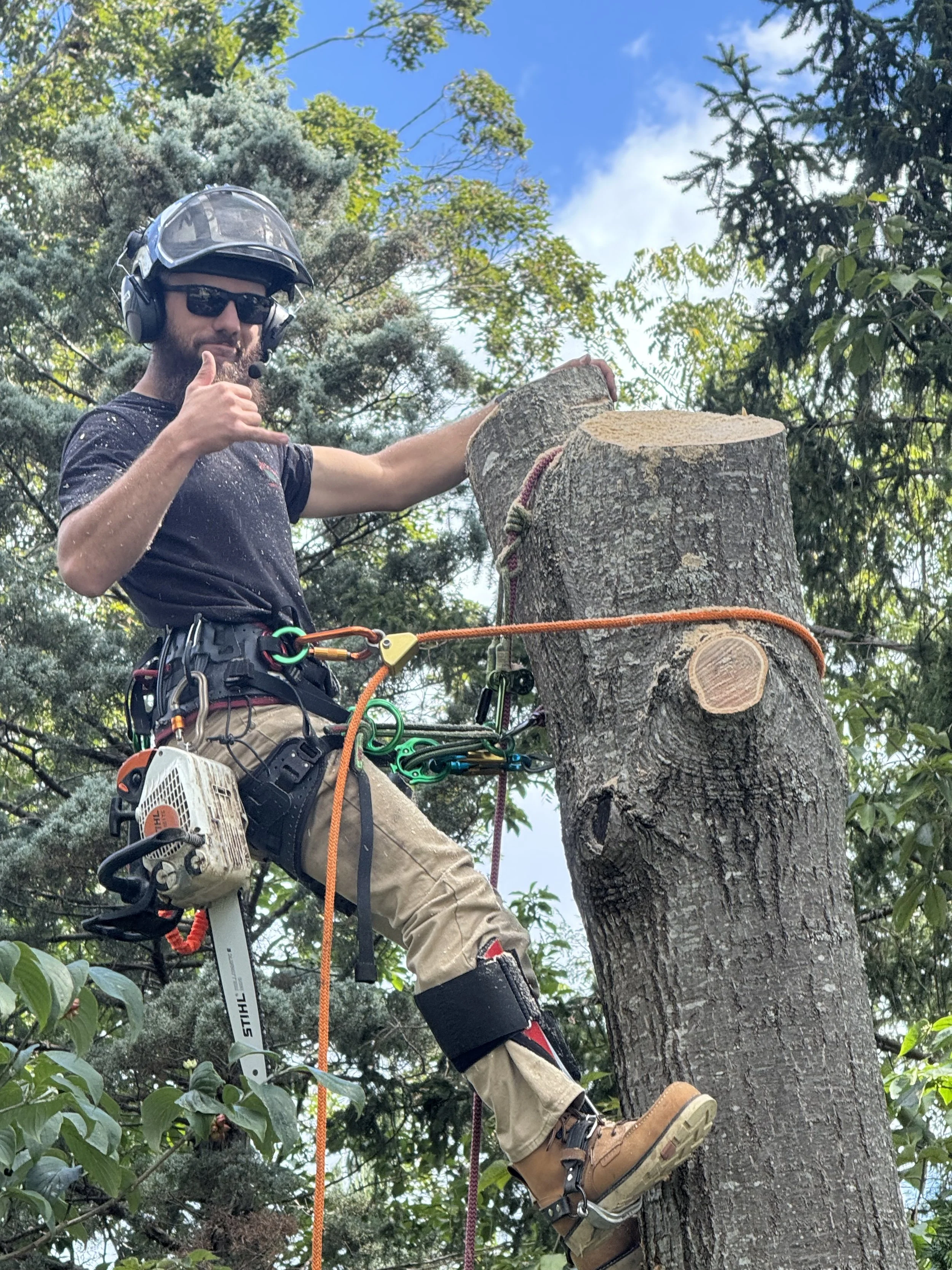 Orrison Tree Service based in Lexington, Virginia.