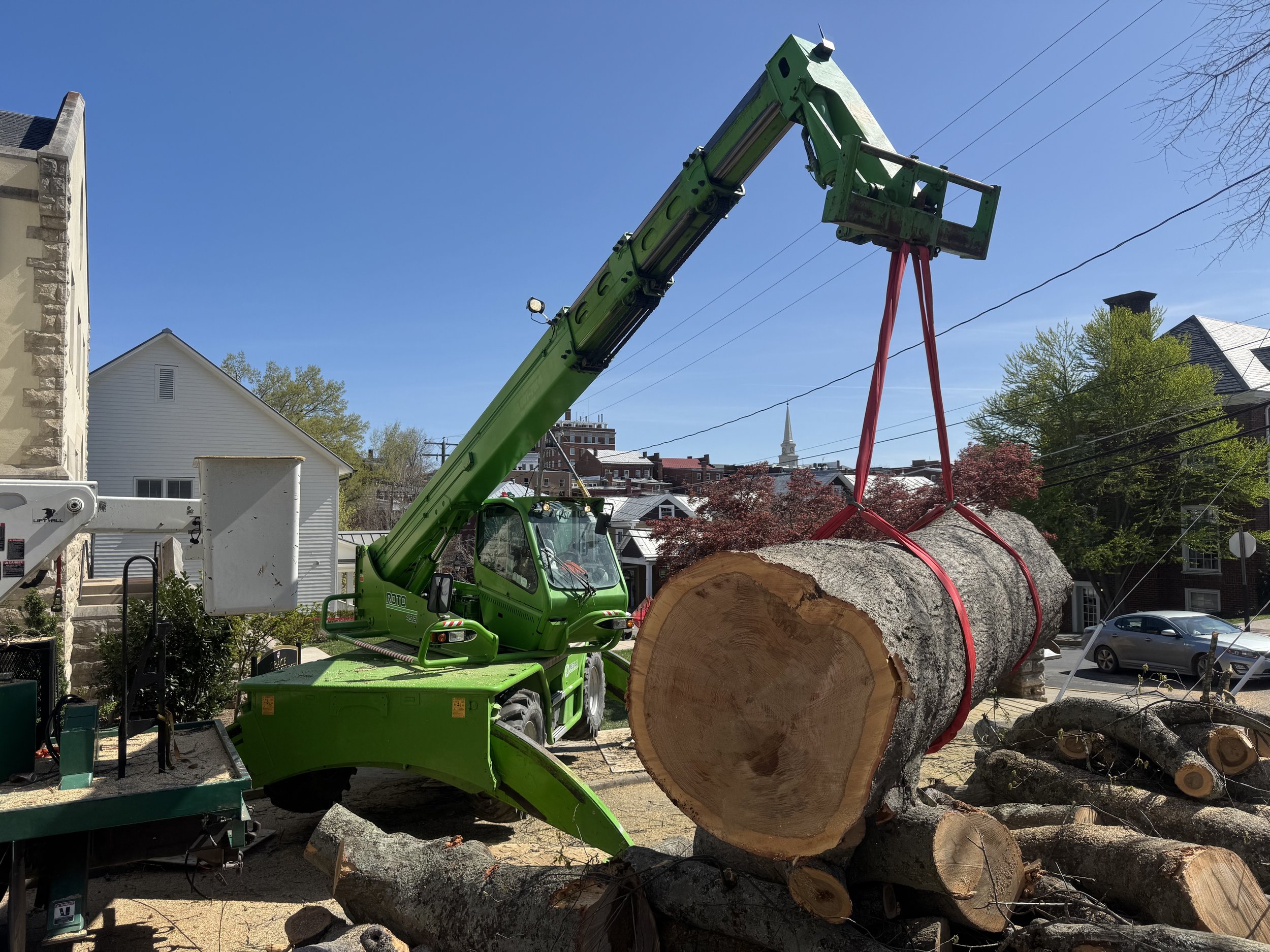 Orrison Tree Service based in Lexington, Virginia.