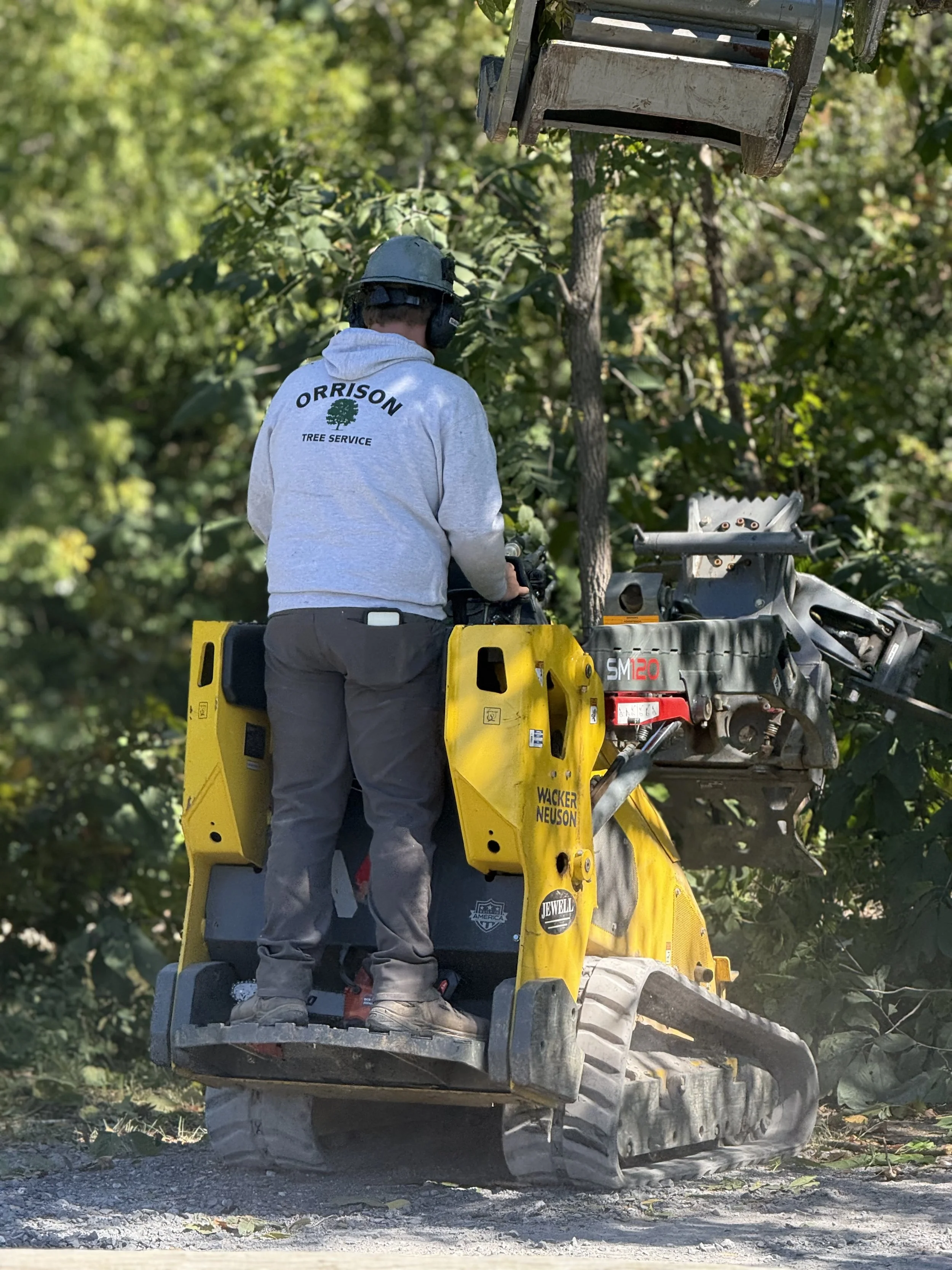 Orrison Tree Service based in Lexington, Virginia.