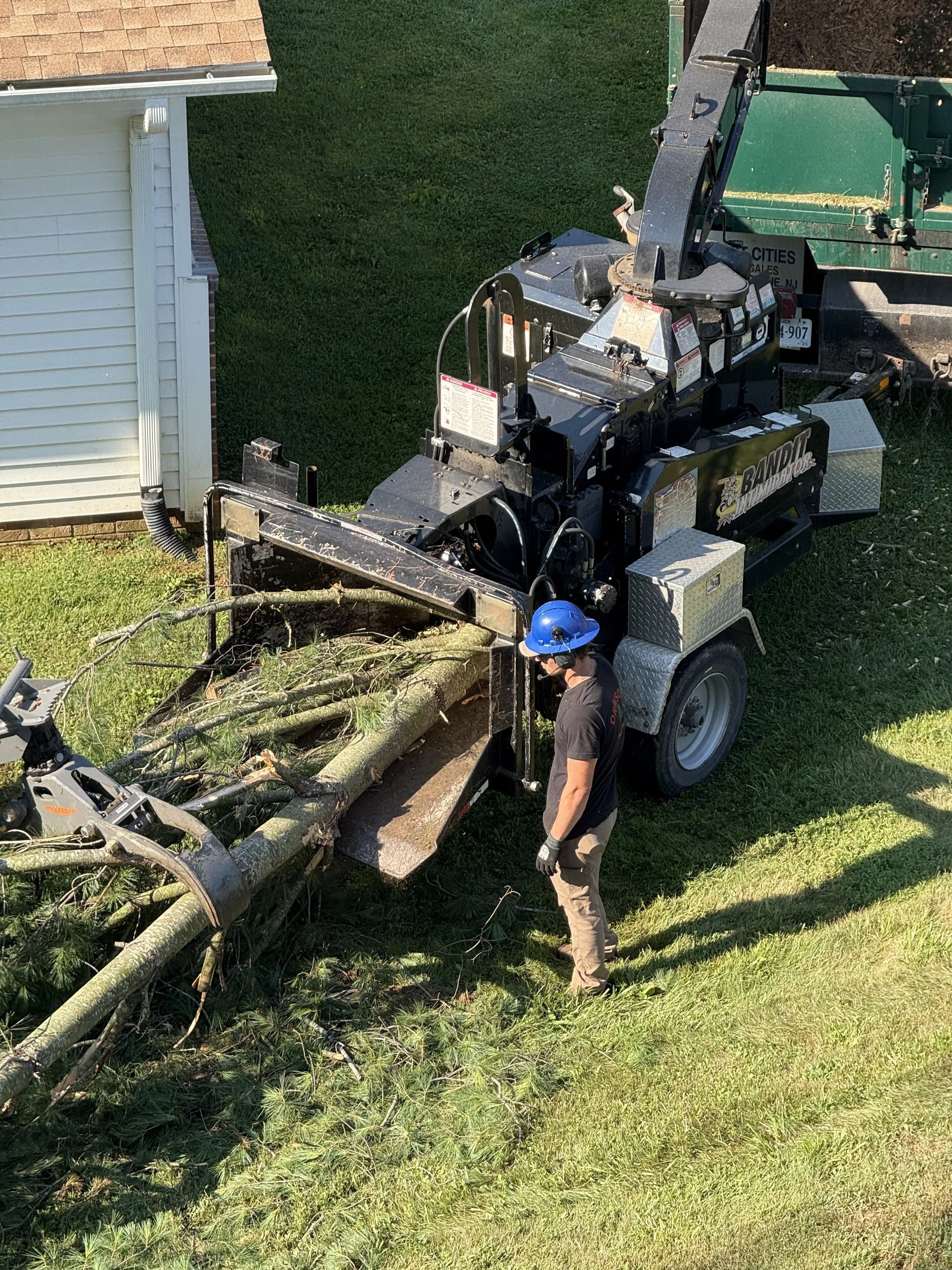Orrison Tree Service based in Lexington, Virginia.
