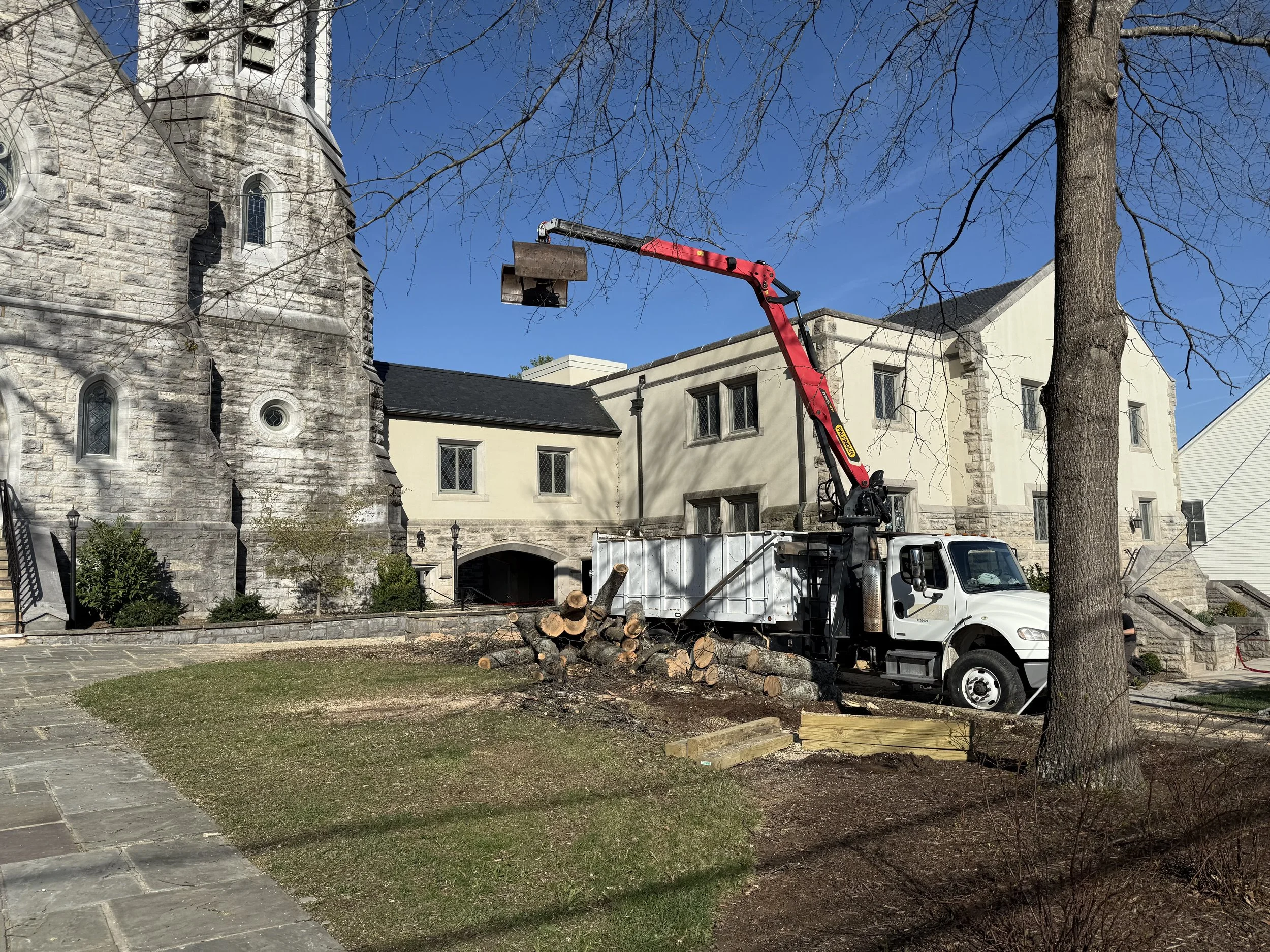 Orrison Tree Service based in Lexington, Virginia.