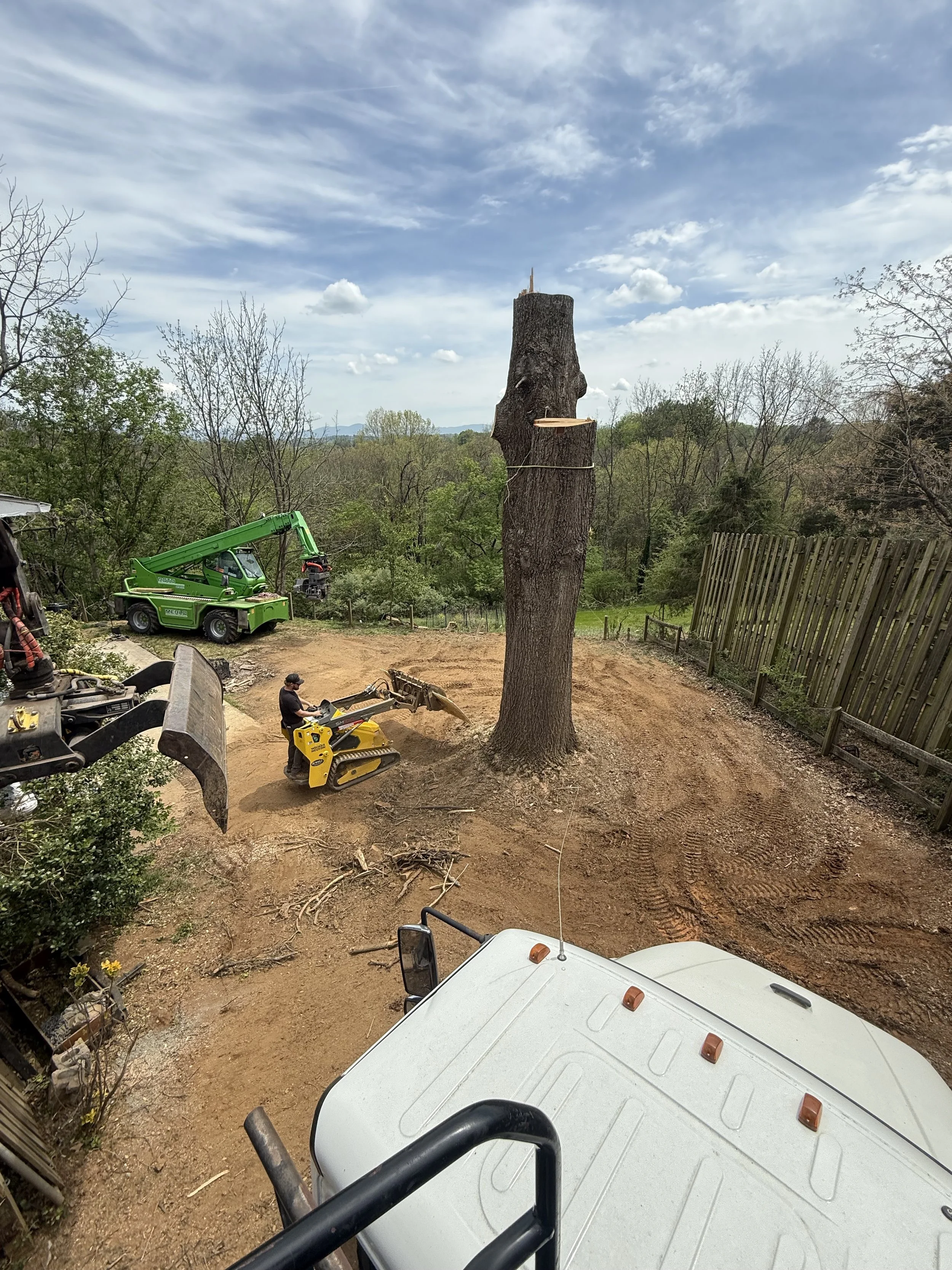 Orrison Tree Service based in Lexington, Virginia.