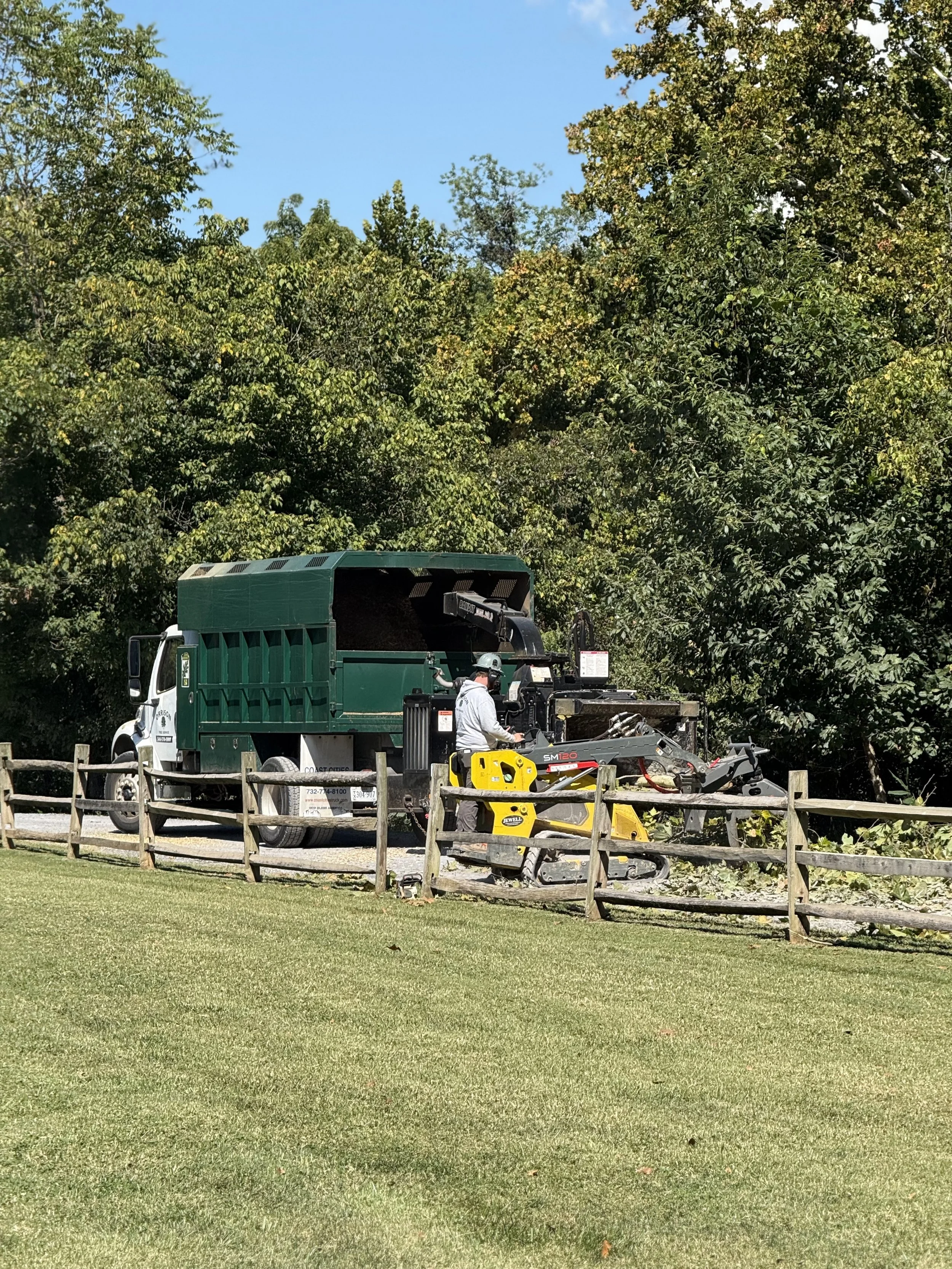 Orrison Tree Service based in Lexington, Virginia.