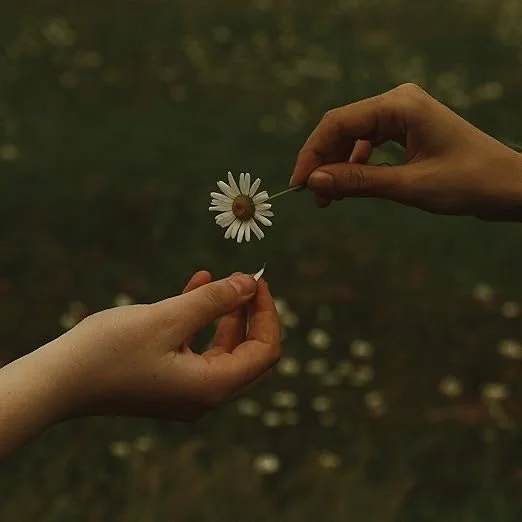Two hands exchanging a white daisy flower outdoors with a blurred natural background.